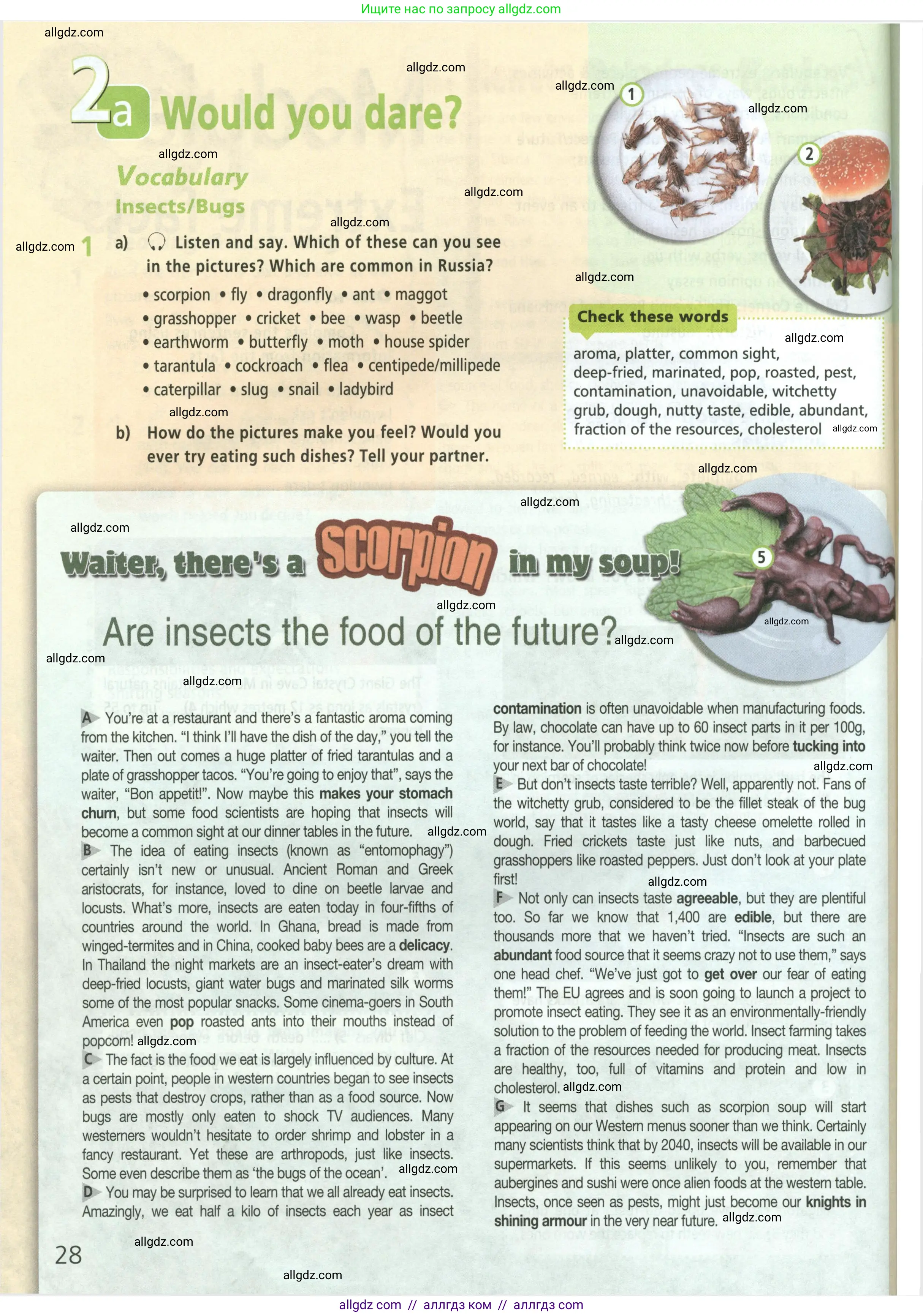 Английский язык (english), 9 класс Учебник (Student's book), авторы: Баранова Ксения Михайловна (Baranova Ksenia), Дули Дженни (Dooley Jenny), Копылова Виктория Викторовна (Kopylova Victoria), Мильруд Радислав Петрович (Millrood Radislav), Эванс Вирджиния (Evans Virginia), издательство Просвещение, Москва, 2023, белого цвета, страница 28