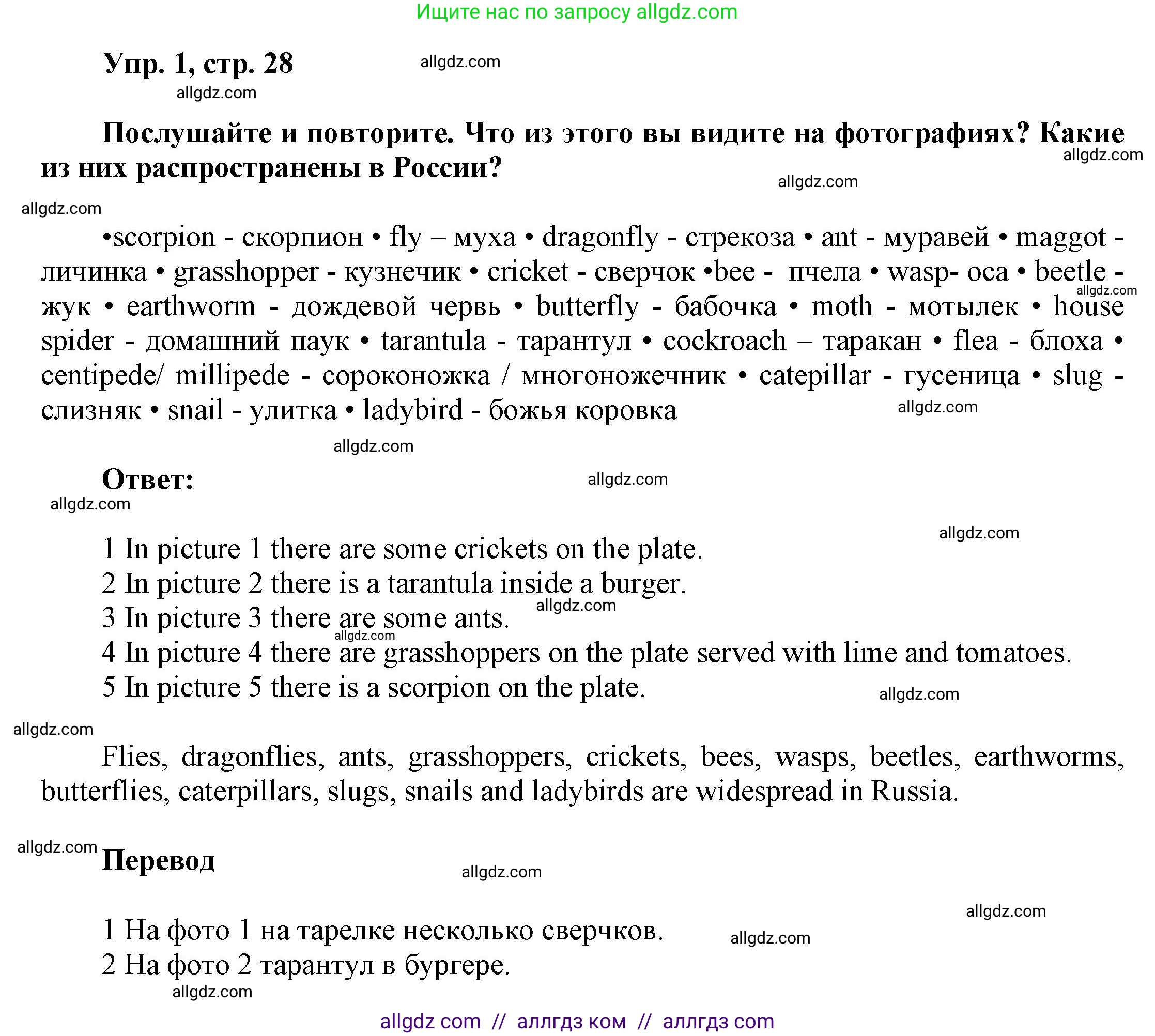 Английский язык (english), 9 класс Учебник (Student's book), авторы: Баранова Ксения Михайловна (Baranova Ksenia), Дули Дженни (Dooley Jenny), Копылова Виктория Викторовна (Kopylova Victoria), Мильруд Радислав Петрович (Millrood Radislav), Эванс Вирджиния (Evans Virginia), издательство Просвещение, Москва, 2023, белого цвета, страница 28, номер 1, Решение 2023-2027