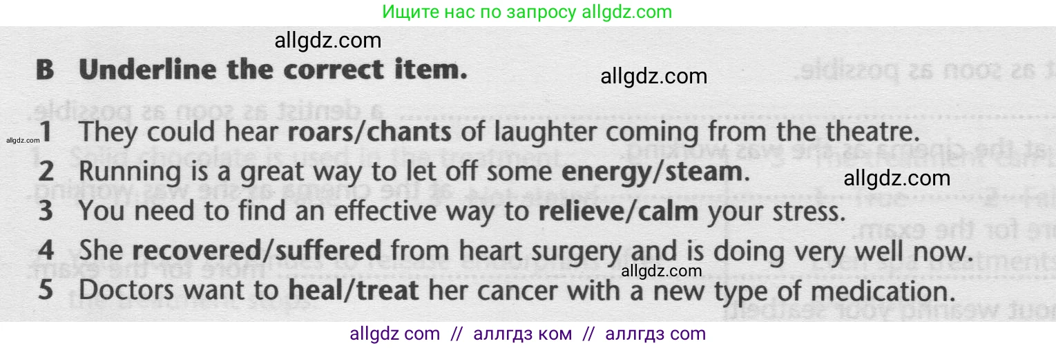 Английский язык (english), 9 класс контрольные задания (test booklet), авторы: Баранова Ксения Михайловна (Baranova Ksenia), Дули Дженни (Dooley Jenny), Копылова Виктория Викторовна (Kopylova Victoria), Мильруд Радислав Петрович (Millrood Radislav), Эванс Вирджиния (Evans Virginia), издательство Просвещение, Москва, 2019, серого цвета, страница 13, номер B, Условие 2024-2027