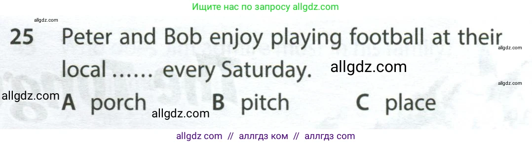 Английский язык (english), 9 класс контрольные задания (test booklet), авторы: Ваулина Юлия Евгеньевна (Vaulina Julia), Дули Дженни (Dooley Jenny), Подоляко Ольга Евгеньевна (Podolyako Olga), Эванс Вирджиния (Evans Virginia), издательство Просвещение, Москва, 2023, страница 27, номер 25, Условие 2024