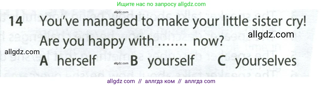 Английский язык (english), 9 класс контрольные задания (test booklet), авторы: Ваулина Юлия Евгеньевна (Vaulina Julia), Дули Дженни (Dooley Jenny), Подоляко Ольга Евгеньевна (Podolyako Olga), Эванс Вирджиния (Evans Virginia), издательство Просвещение, Москва, 2023, страница 46, номер 14, Условие 2024