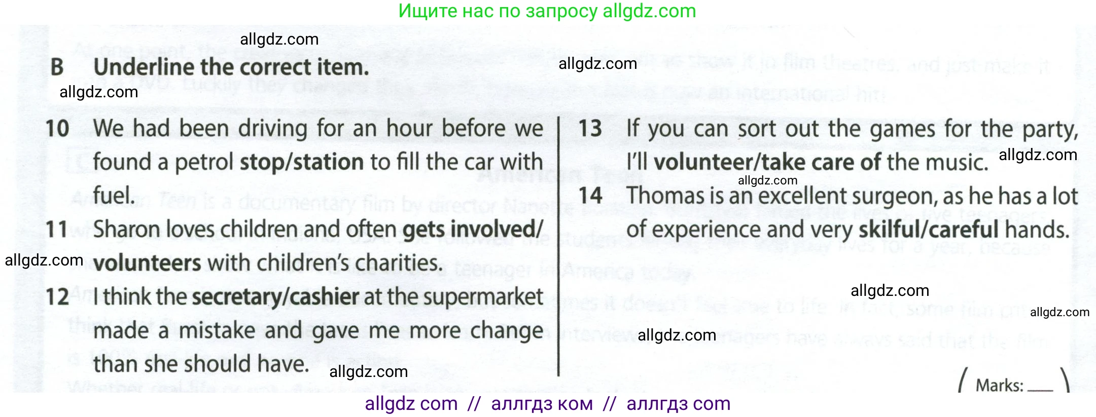 Английский язык (english), 9 класс контрольные задания (test booklet), авторы: Ваулина Юлия Евгеньевна (Vaulina Julia), Дули Дженни (Dooley Jenny), Подоляко Ольга Евгеньевна (Podolyako Olga), Эванс Вирджиния (Evans Virginia), издательство Просвещение, Москва, 2023, страница 34, номер B, Условие 2024