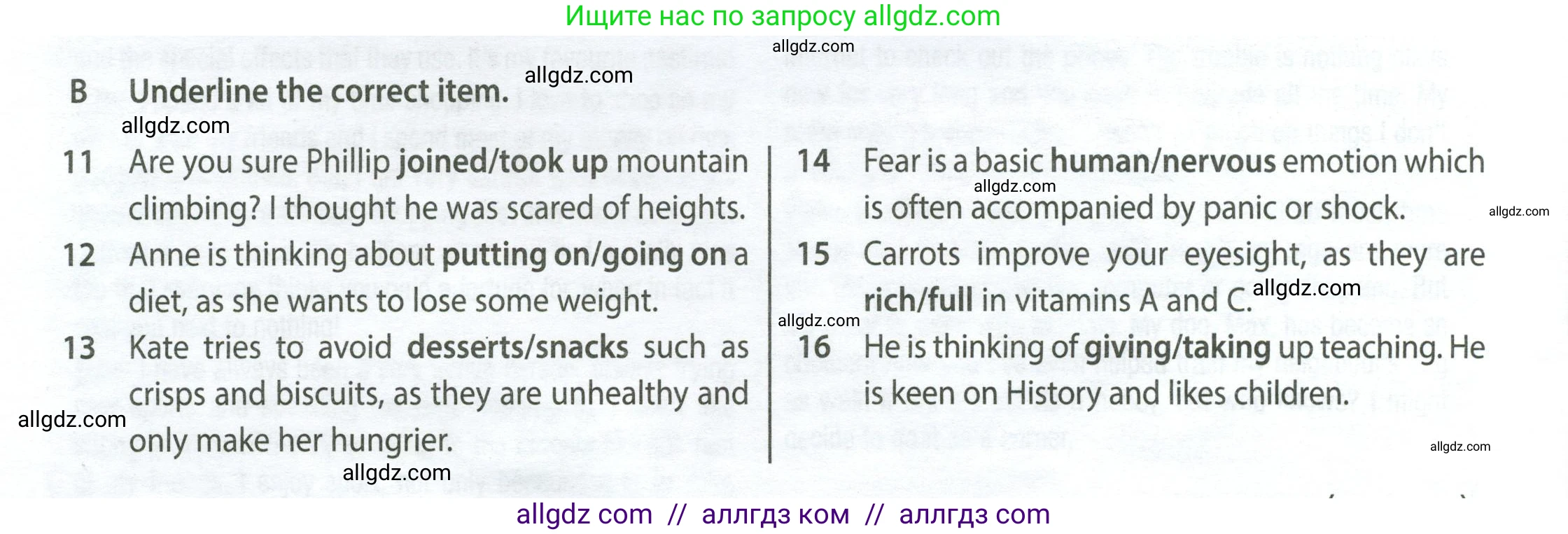 Английский язык (english), 9 класс контрольные задания (test booklet), авторы: Ваулина Юлия Евгеньевна (Vaulina Julia), Дули Дженни (Dooley Jenny), Подоляко Ольга Евгеньевна (Podolyako Olga), Эванс Вирджиния (Evans Virginia), издательство Просвещение, Москва, 2023, страница 38, номер B, Условие 2024