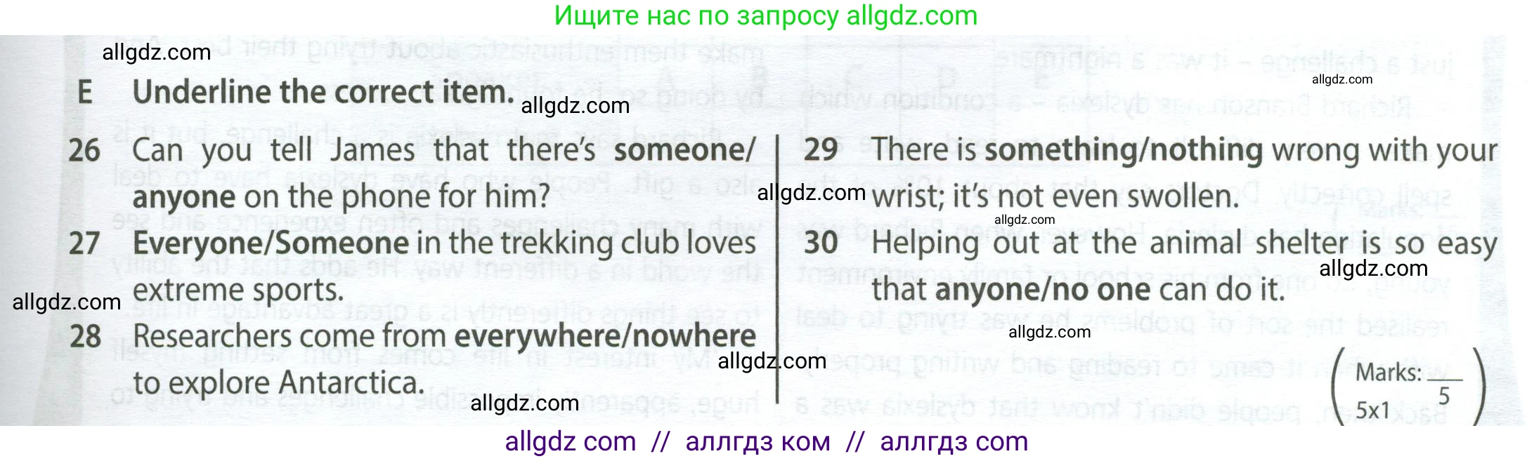 Английский язык (english), 9 класс контрольные задания (test booklet), авторы: Ваулина Юлия Евгеньевна (Vaulina Julia), Дули Дженни (Dooley Jenny), Подоляко Ольга Евгеньевна (Podolyako Olga), Эванс Вирджиния (Evans Virginia), издательство Просвещение, Москва, 2023, страница 43, номер E, Условие 2024