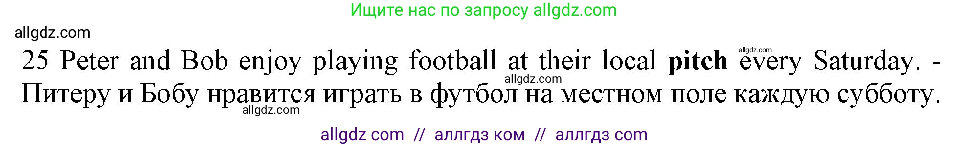Английский язык (english), 9 класс контрольные задания (test booklet), авторы: Ваулина Юлия Евгеньевна (Vaulina Julia), Дули Дженни (Dooley Jenny), Подоляко Ольга Евгеньевна (Podolyako Olga), Эванс Вирджиния (Evans Virginia), издательство Просвещение, Москва, 2023, страница 27, номер 25, Решение 1 (2024)