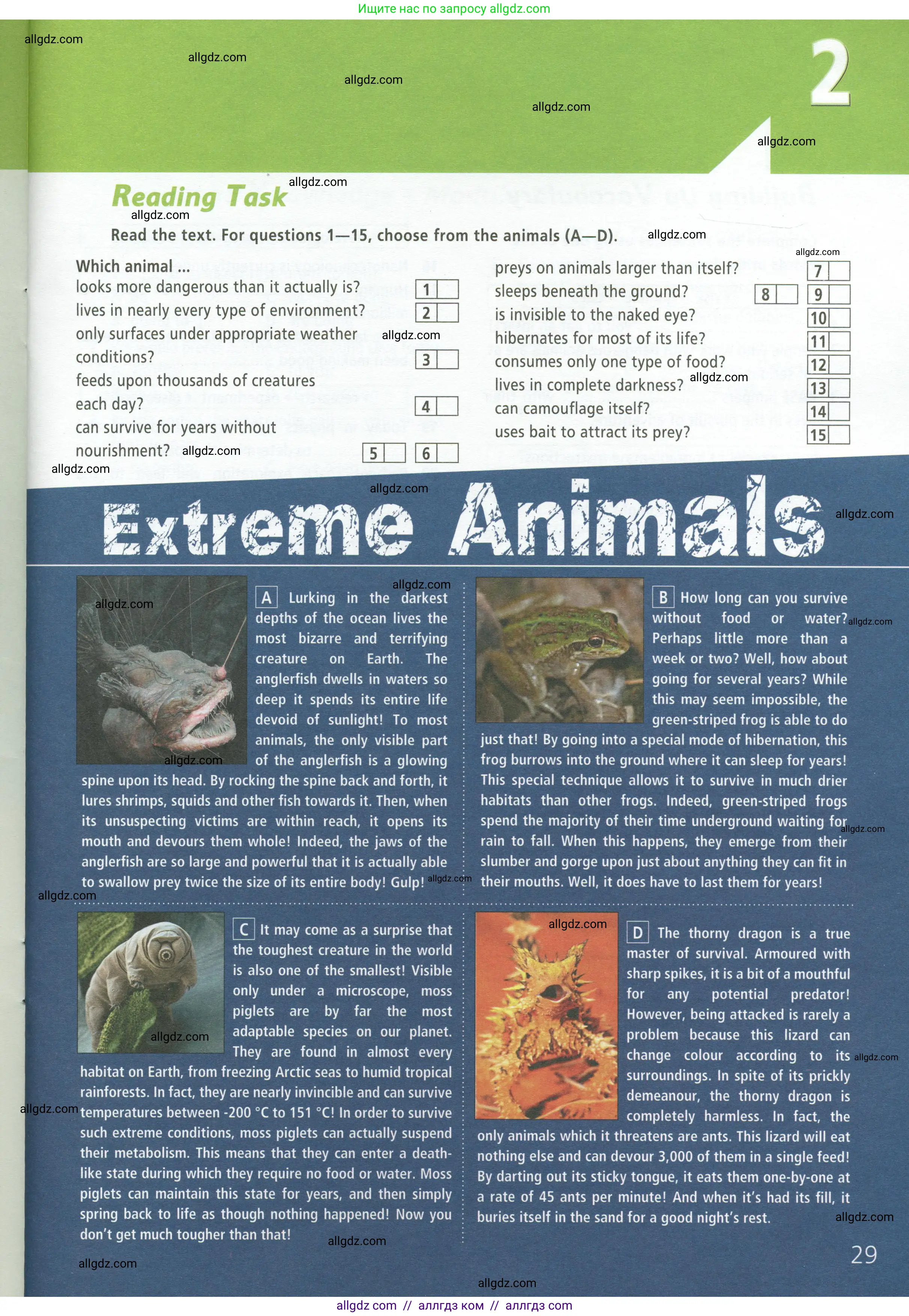 Английский язык (english), 9 класс Рабочая тетрадь (workbook), авторы: Баранова Ксения Михайловна (Baranova Ksenia), Дули Дженни (Dooley Jenny), Копылова Виктория Викторовна (Kopylova Victoria), Мильруд Радислав Петрович (Millrood Radislav), Эванс Вирджиния (Evans Virginia), издательство Просвещение, Москва, 2024, белого цвета, страница 29