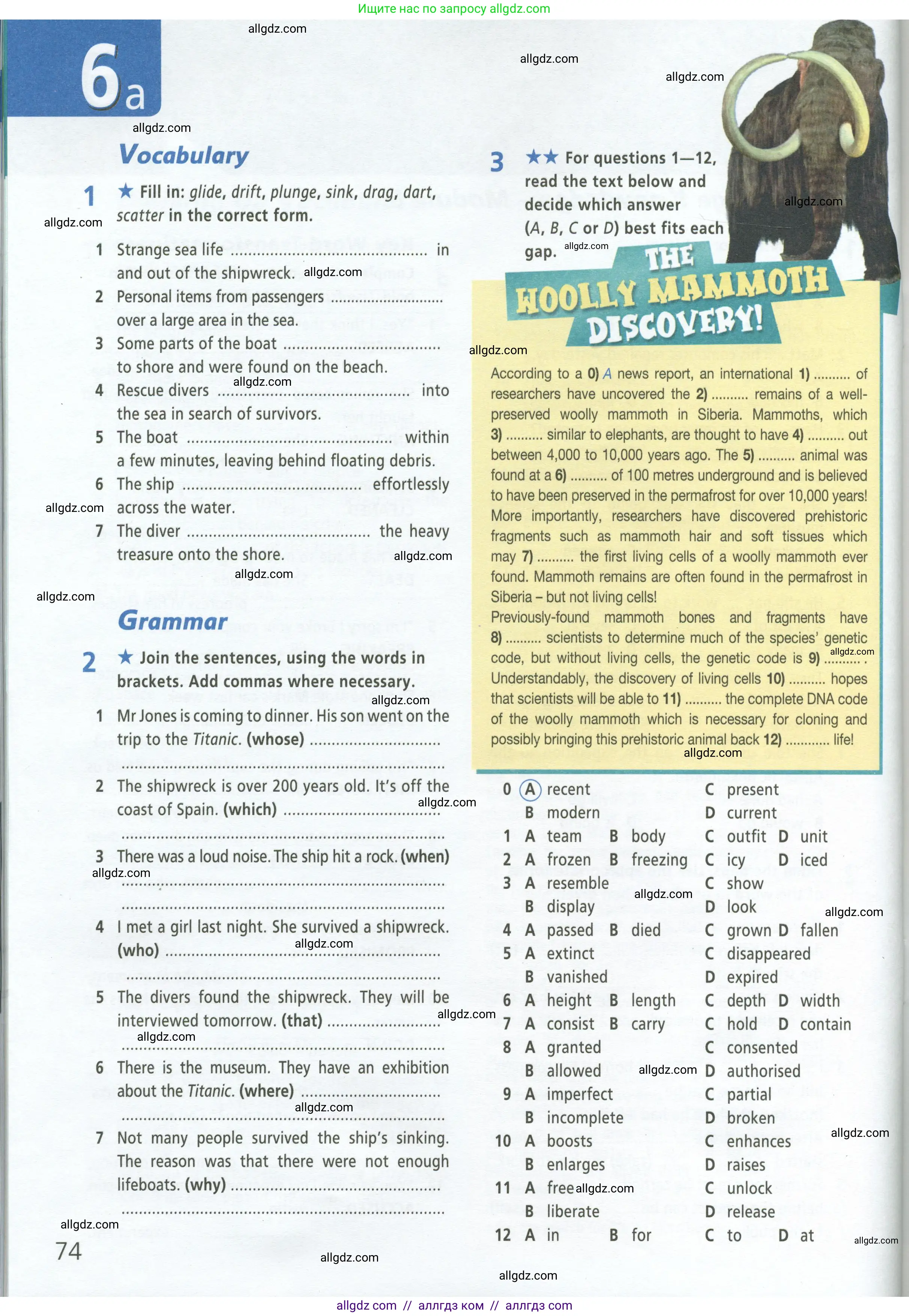 Английский язык (english), 9 класс Рабочая тетрадь (workbook), авторы: Баранова Ксения Михайловна (Baranova Ksenia), Дули Дженни (Dooley Jenny), Копылова Виктория Викторовна (Kopylova Victoria), Мильруд Радислав Петрович (Millrood Radislav), Эванс Вирджиния (Evans Virginia), издательство Просвещение, Москва, 2024, белого цвета, страница 74