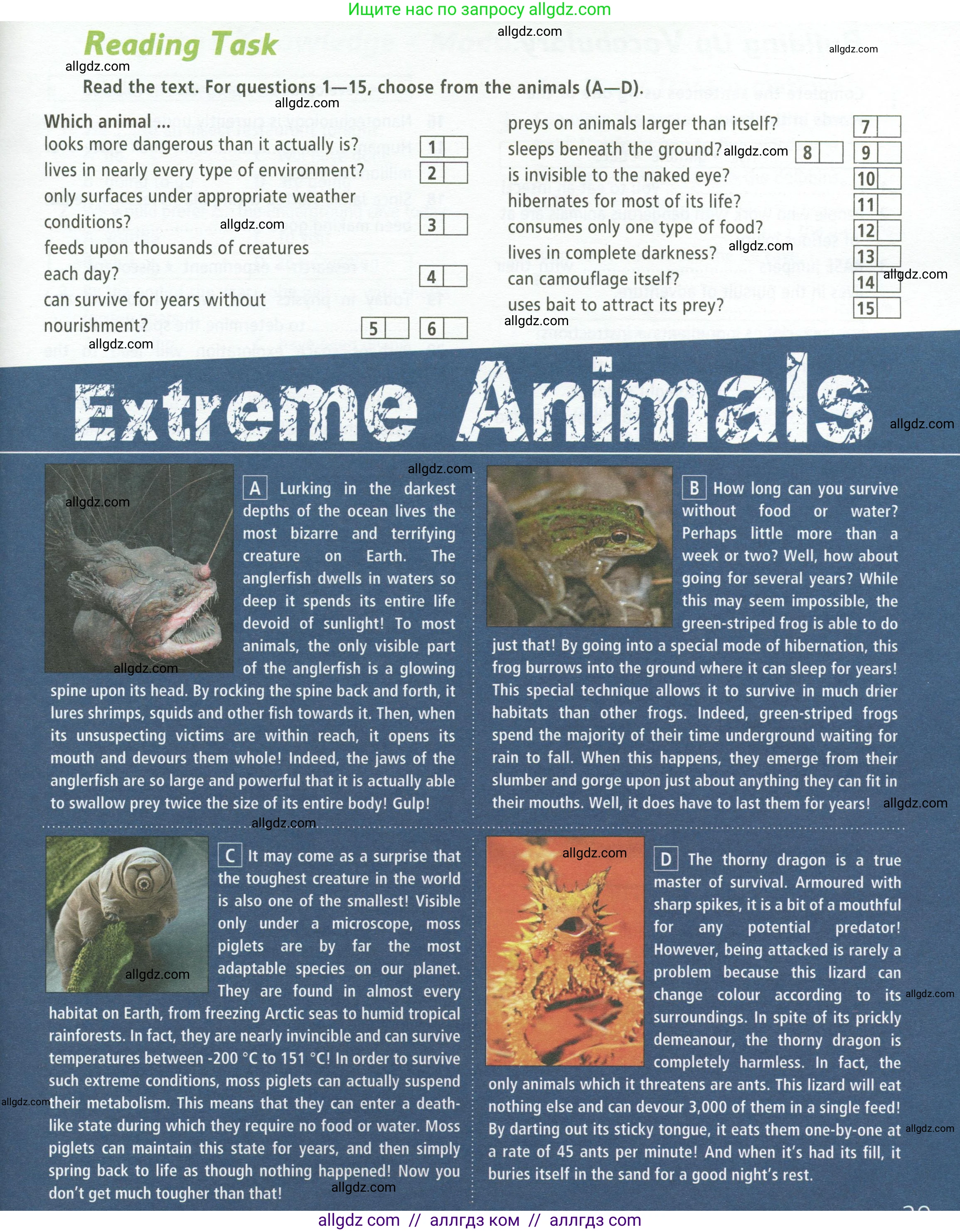 Английский язык (english), 9 класс Рабочая тетрадь (workbook), авторы: Баранова Ксения Михайловна (Baranova Ksenia), Дули Дженни (Dooley Jenny), Копылова Виктория Викторовна (Kopylova Victoria), Мильруд Радислав Петрович (Millrood Radislav), Эванс Вирджиния (Evans Virginia), издательство Просвещение, Москва, 2024, белого цвета, страница 29, Условие 2024-2027