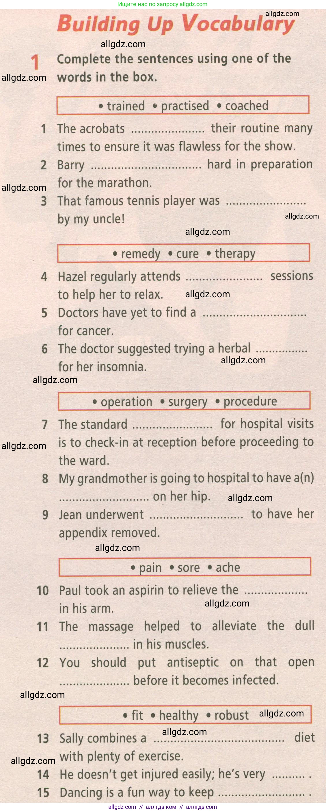 Английский язык (english), 9 класс Рабочая тетрадь (workbook), авторы: Баранова Ксения Михайловна (Baranova Ksenia), Дули Дженни (Dooley Jenny), Копылова Виктория Викторовна (Kopylova Victoria), Мильруд Радислав Петрович (Millrood Radislav), Эванс Вирджиния (Evans Virginia), издательство Просвещение, Москва, 2024, белого цвета, страница 44, номер 1, Условие 2024-2027