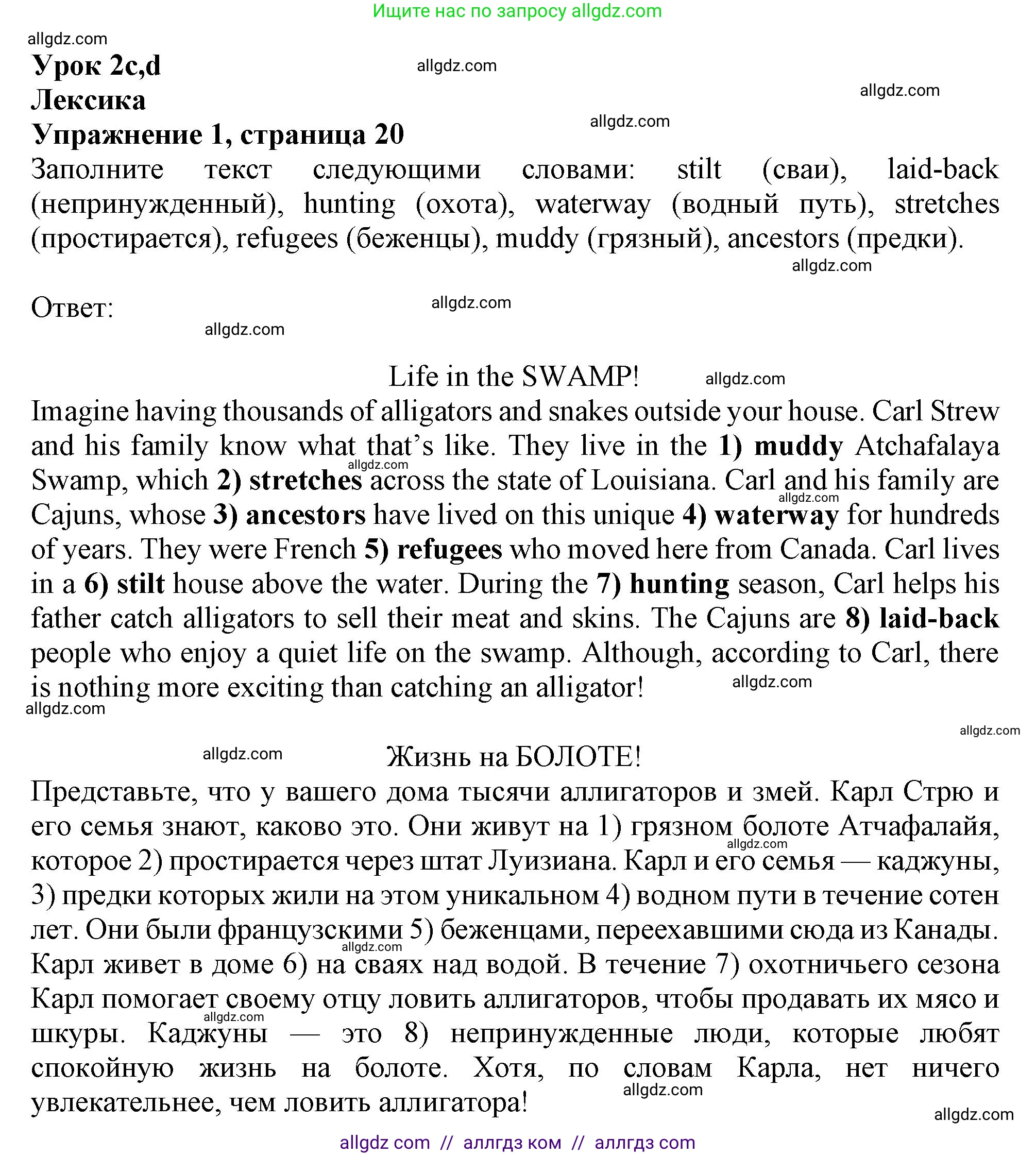 Английский язык (english), 9 класс Рабочая тетрадь (workbook), авторы: Баранова Ксения Михайловна (Baranova Ksenia), Дули Дженни (Dooley Jenny), Копылова Виктория Викторовна (Kopylova Victoria), Мильруд Радислав Петрович (Millrood Radislav), Эванс Вирджиния (Evans Virginia), издательство Просвещение, Москва, 2024, белого цвета, страница 20, номер 1, Решение 1 (2024-2027)