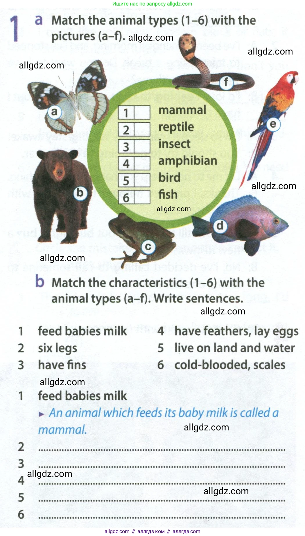 Английский язык (english), 9 класс Рабочая тетрадь (workbook), авторы: Ваулина Юлия Евгеньевна (Vaulina Julia), Дули Дженни (Dooley Jenny), Подоляко Ольга Евгеньевна (Podolyako Olga), Эванс Вирджиния (Evans Virginia), издательство Просвещение, Москва, 2024, страница 21, номер 1, Условие 2024