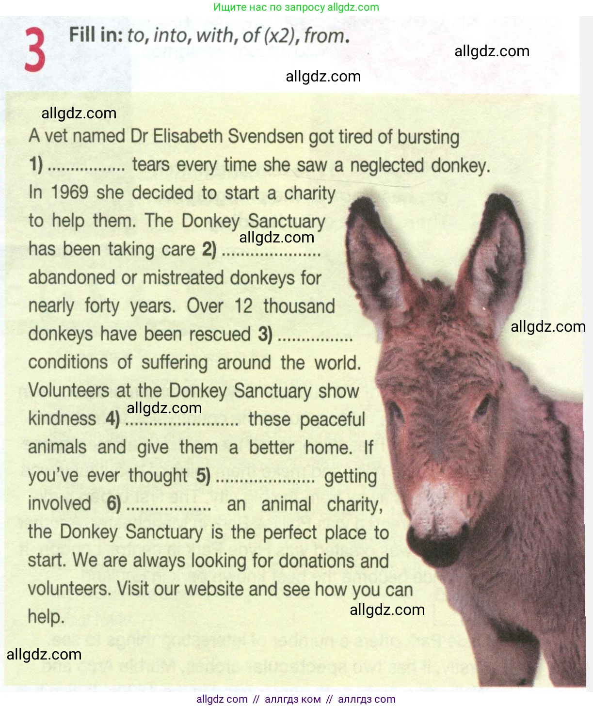 Английский язык (english), 9 класс Рабочая тетрадь (workbook), авторы: Ваулина Юлия Евгеньевна (Vaulina Julia), Дули Дженни (Dooley Jenny), Подоляко Ольга Евгеньевна (Podolyako Olga), Эванс Вирджиния (Evans Virginia), издательство Просвещение, Москва, 2024, страница 59, номер 3, Условие 2024