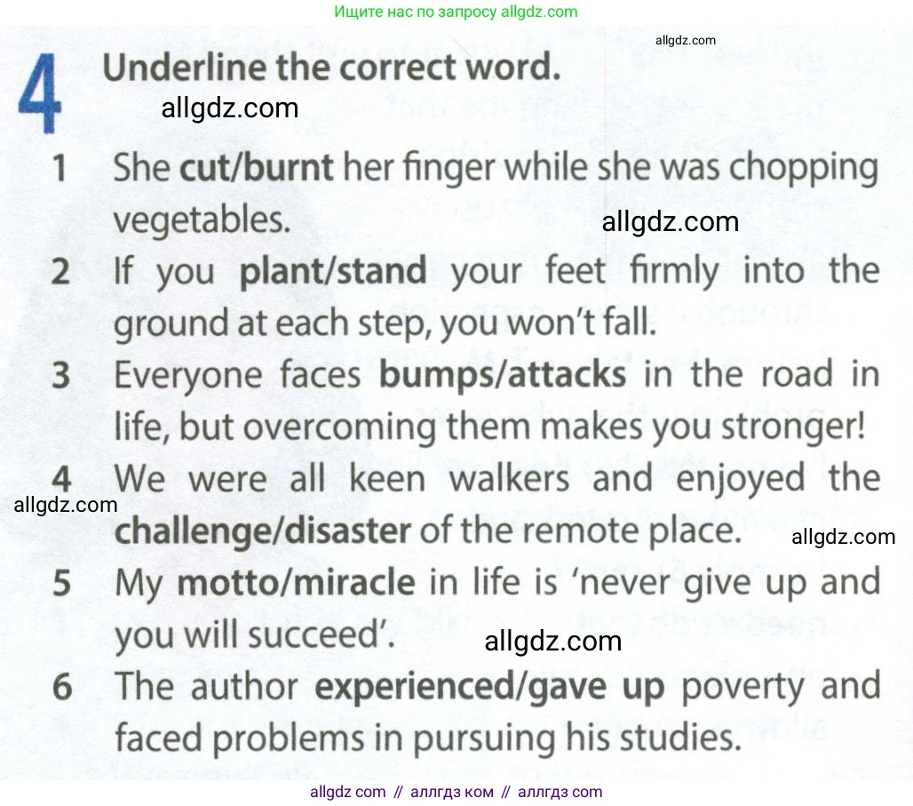 Английский язык (english), 9 класс Рабочая тетрадь (workbook), авторы: Ваулина Юлия Евгеньевна (Vaulina Julia), Дули Дженни (Dooley Jenny), Подоляко Ольга Евгеньевна (Podolyako Olga), Эванс Вирджиния (Evans Virginia), издательство Просвещение, Москва, 2024, страница 74, номер 4, Условие 2024