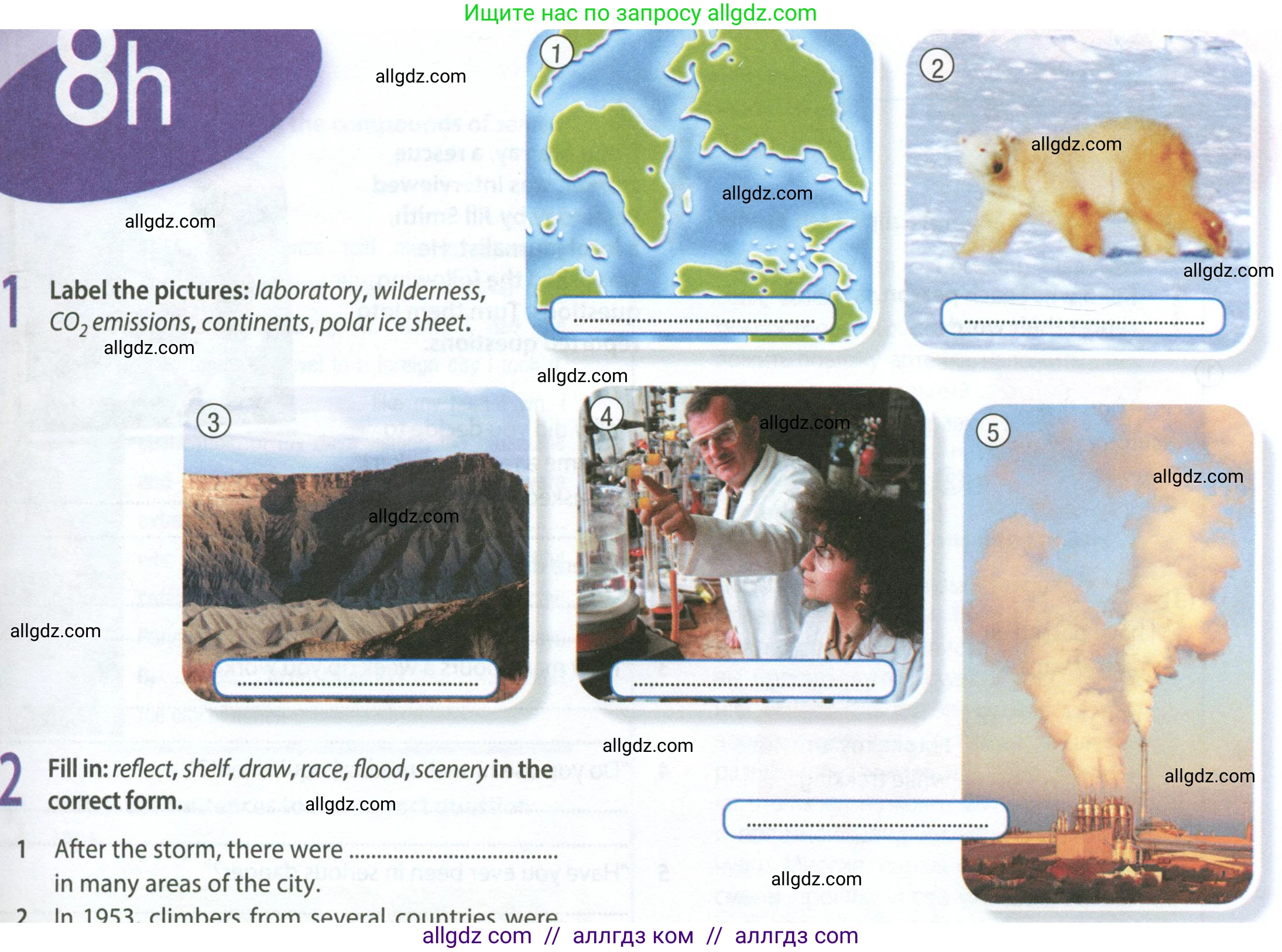 Английский язык (english), 9 класс Рабочая тетрадь (workbook), авторы: Ваулина Юлия Евгеньевна (Vaulina Julia), Дули Дженни (Dooley Jenny), Подоляко Ольга Евгеньевна (Podolyako Olga), Эванс Вирджиния (Evans Virginia), издательство Просвещение, Москва, 2024, страница 81, номер 1, Условие 2024