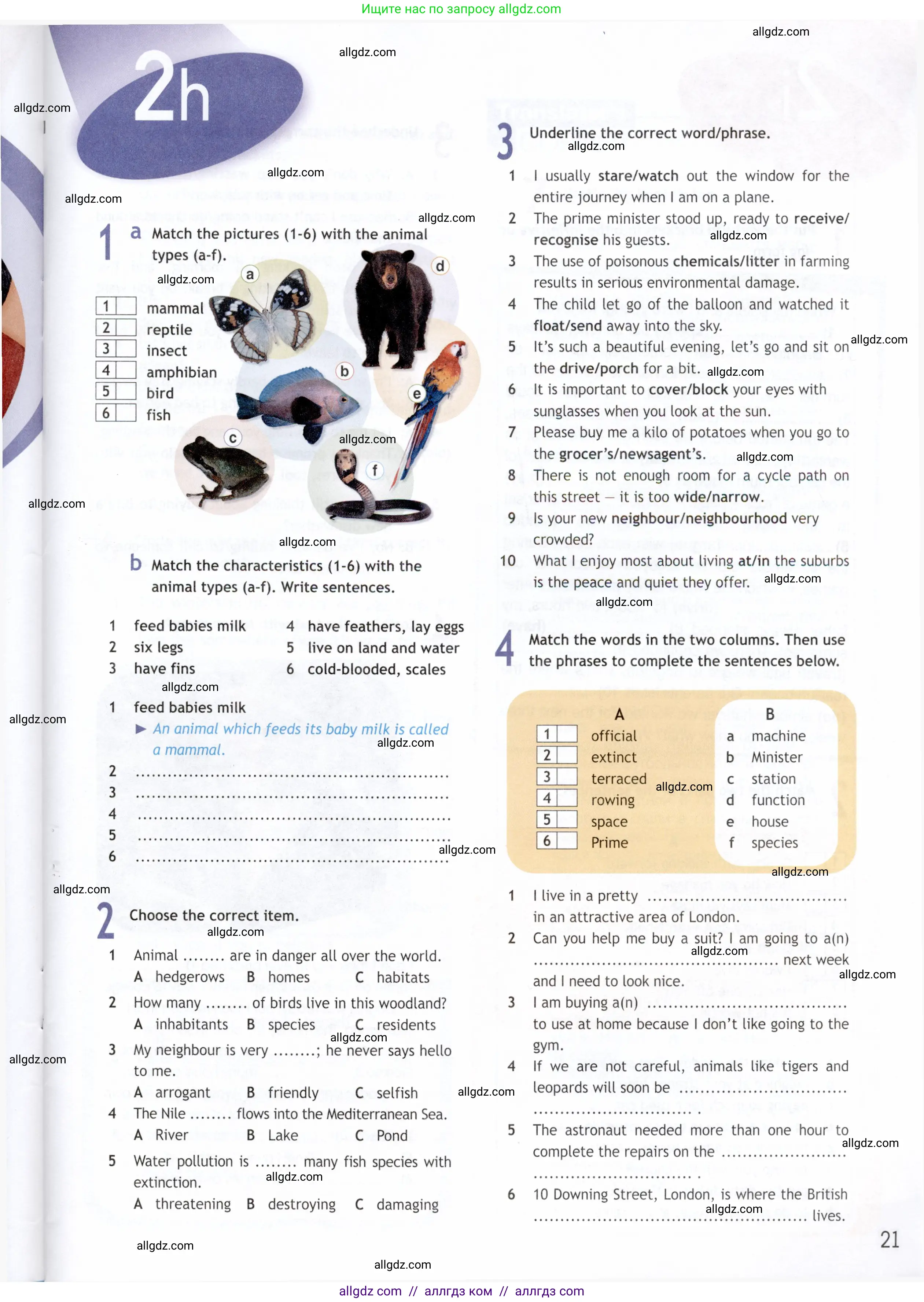 Английский язык (english), 9 класс Рабочая тетрадь (workbook), авторы: Ваулина Юлия Евгеньевна (Vaulina Julia), Дули Дженни (Dooley Jenny), Подоляко Ольга Евгеньевна (Podolyako Olga), Эванс Вирджиния (Evans Virginia), издательство Просвещение, Москва, 2024, страница 21