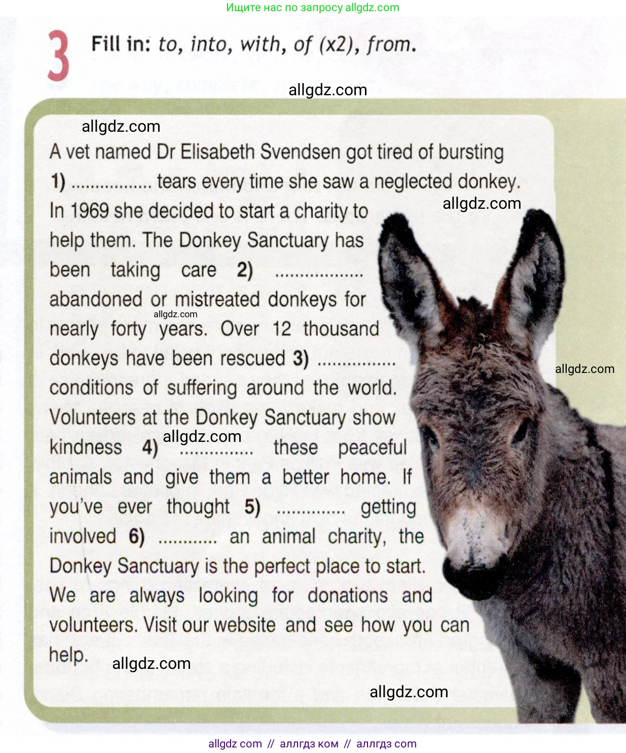 Английский язык (english), 9 класс Рабочая тетрадь (workbook), авторы: Ваулина Юлия Евгеньевна (Vaulina Julia), Дули Дженни (Dooley Jenny), Подоляко Ольга Евгеньевна (Podolyako Olga), Эванс Вирджиния (Evans Virginia), издательство Просвещение, Москва, 2024, страница 59, номер 3, Условие 2019-2023