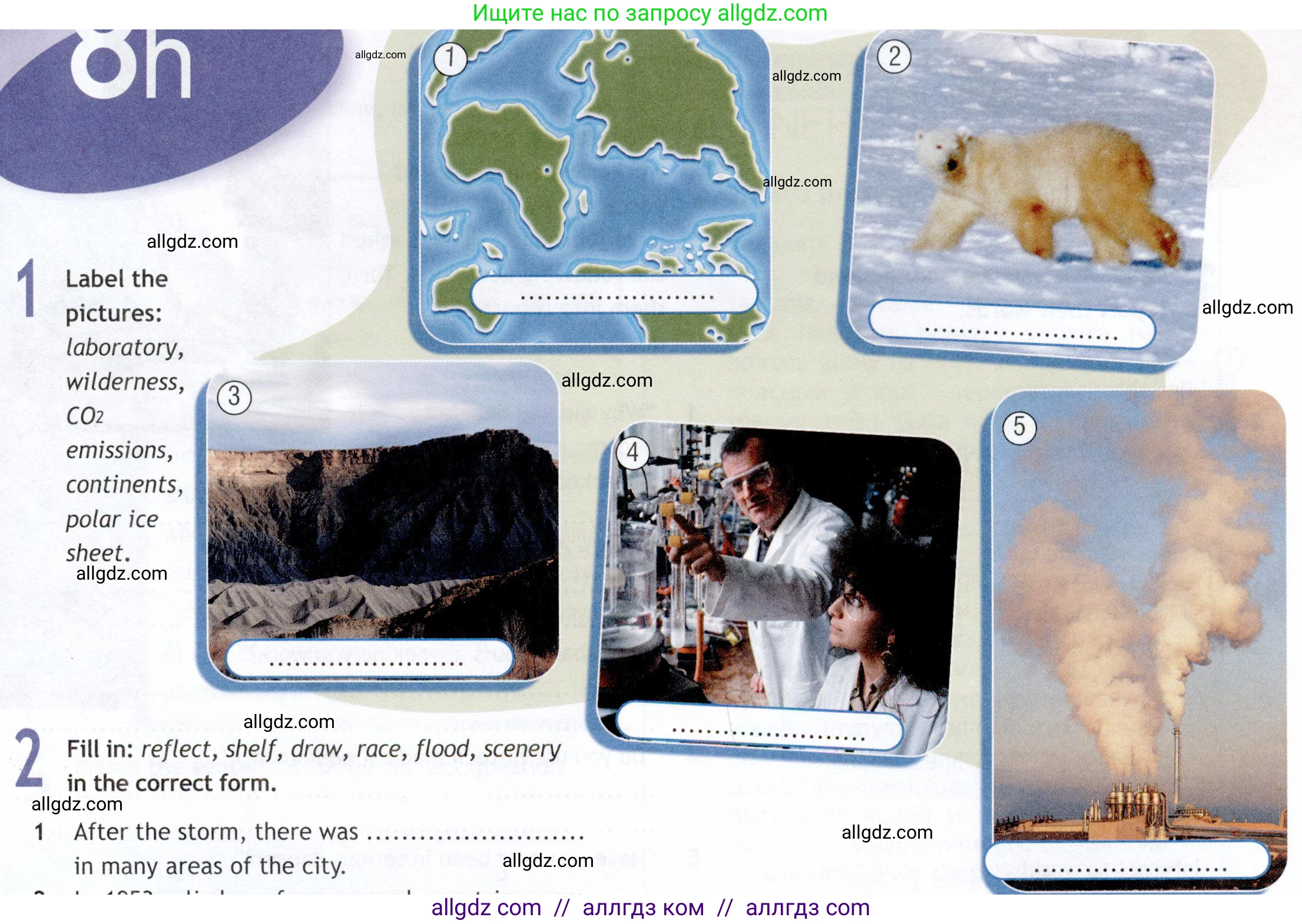 Английский язык (english), 9 класс Рабочая тетрадь (workbook), авторы: Ваулина Юлия Евгеньевна (Vaulina Julia), Дули Дженни (Dooley Jenny), Подоляко Ольга Евгеньевна (Podolyako Olga), Эванс Вирджиния (Evans Virginia), издательство Просвещение, Москва, 2024, страница 81, номер 1, Условие 2019-2023