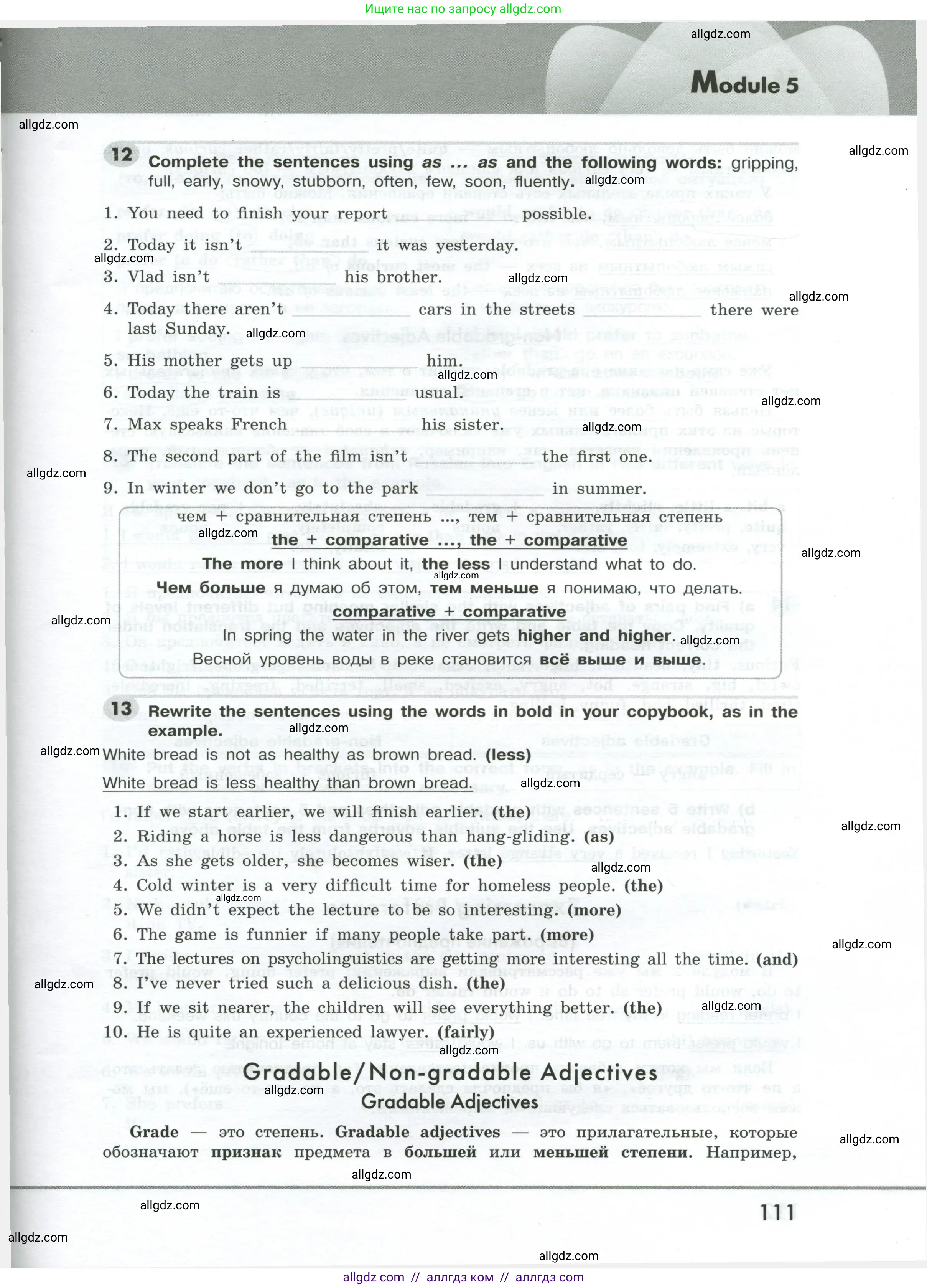 Английский язык (english), 9 класс Грамматический тренажёр, автор: Тимофеева Светлана Леонидовна, издательство Просвещение, Москва, 2024, страница 111