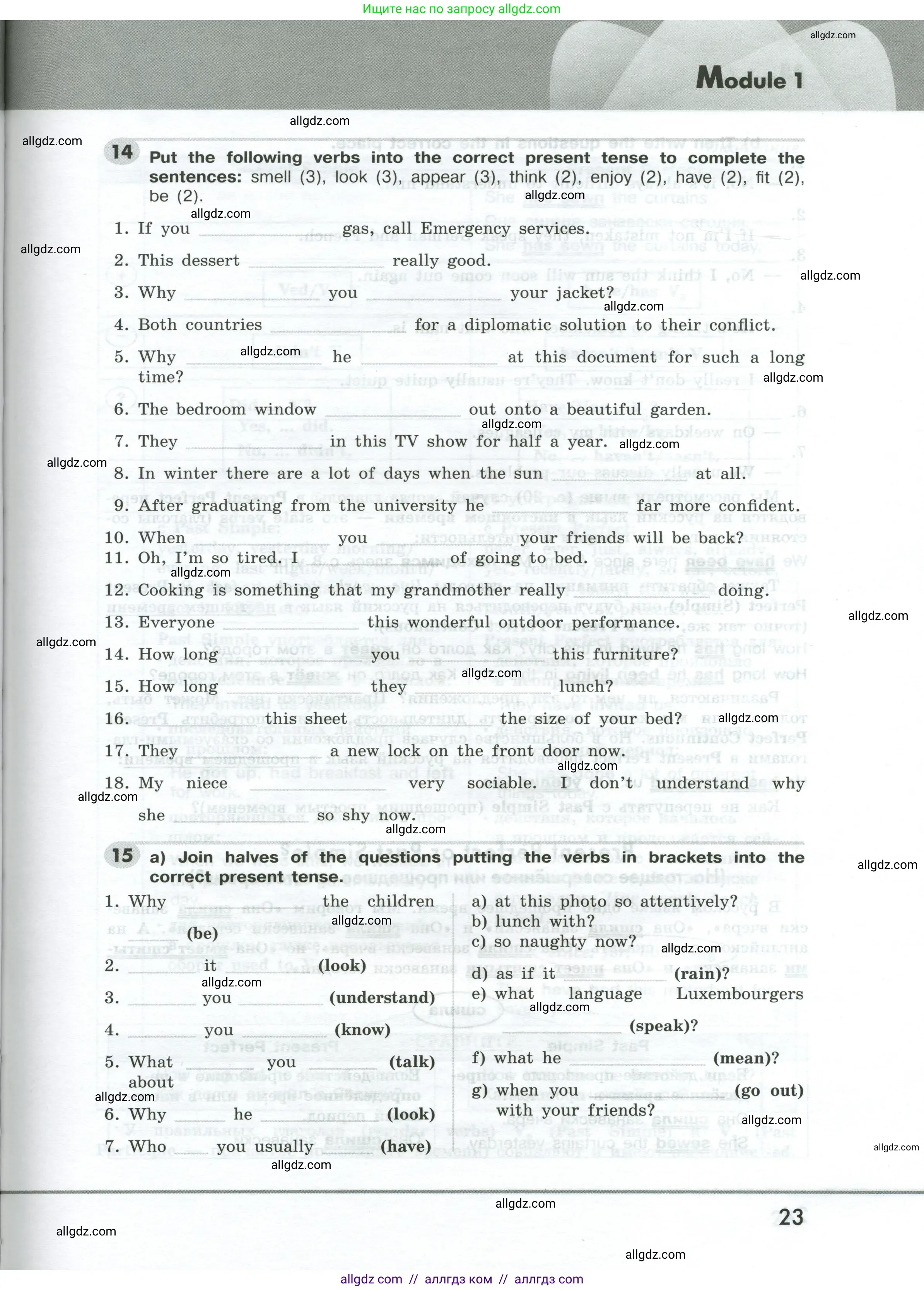 Английский язык (english), 9 класс Грамматический тренажёр, автор: Тимофеева Светлана Леонидовна, издательство Просвещение, Москва, 2024, страница 23