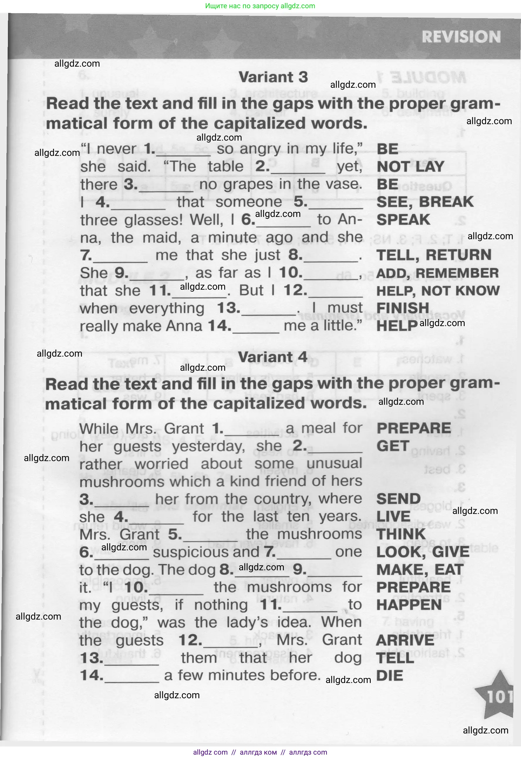 Английский язык (english), 9 класс Тренировочные упражнения в формате ОГЭ (ГИА), авторы: Комиссаров Константин Вячеславович, Кирдяева Ольга Ивановна, издательство Просвещение, Москва, 2024, белого цвета, страница 101