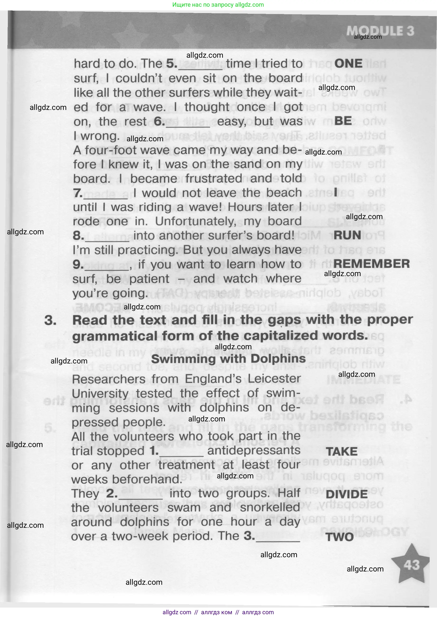 Английский язык (english), 9 класс Тренировочные упражнения в формате ОГЭ (ГИА), авторы: Комиссаров Константин Вячеславович, Кирдяева Ольга Ивановна, издательство Просвещение, Москва, 2024, белого цвета, страница 43