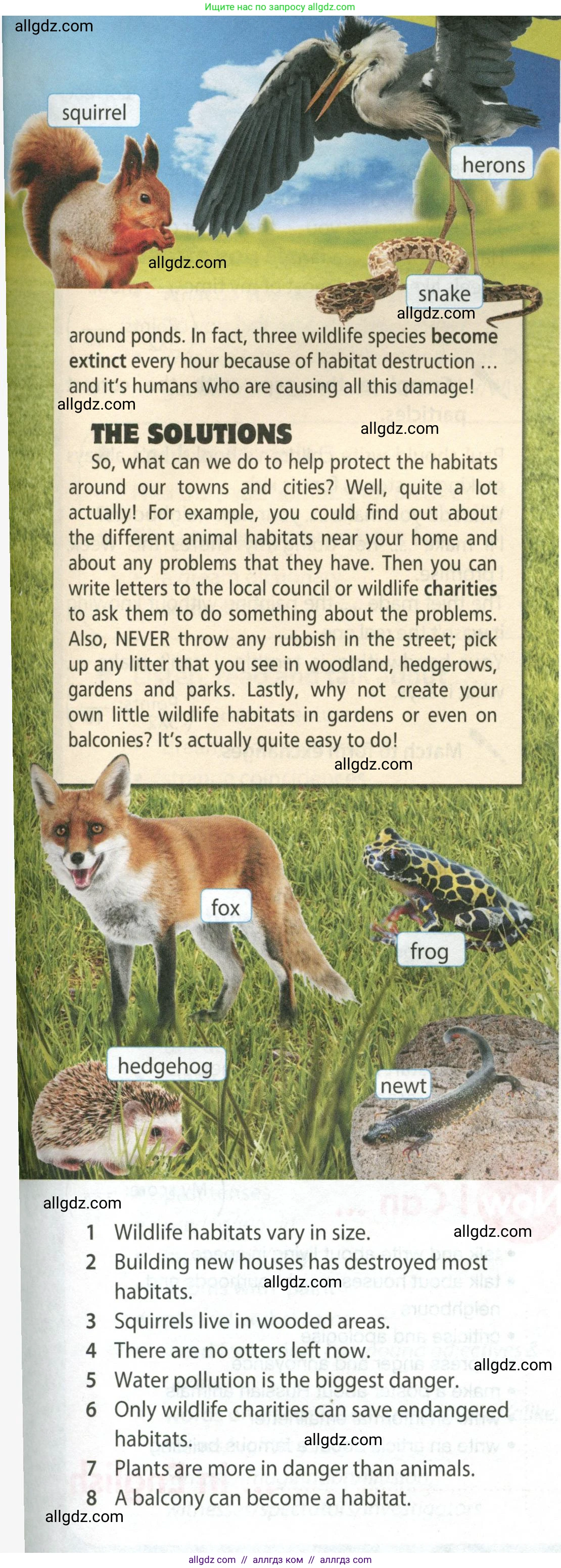 Английский язык (english), 9 класс Учебник (Student's book), авторы: Ваулина Юлия Евгеньевна (Vaulina Julia), Дули Дженни (Dooley Jenny), Подоляко Ольга Евгеньевна (Podolyako Olga), Эванс Вирджиния (Evans Virginia), издательство Просвещение, Москва, 2023, белого цвета, страница 38, номер 4, Условие 2023-2027 (продолжение 2)