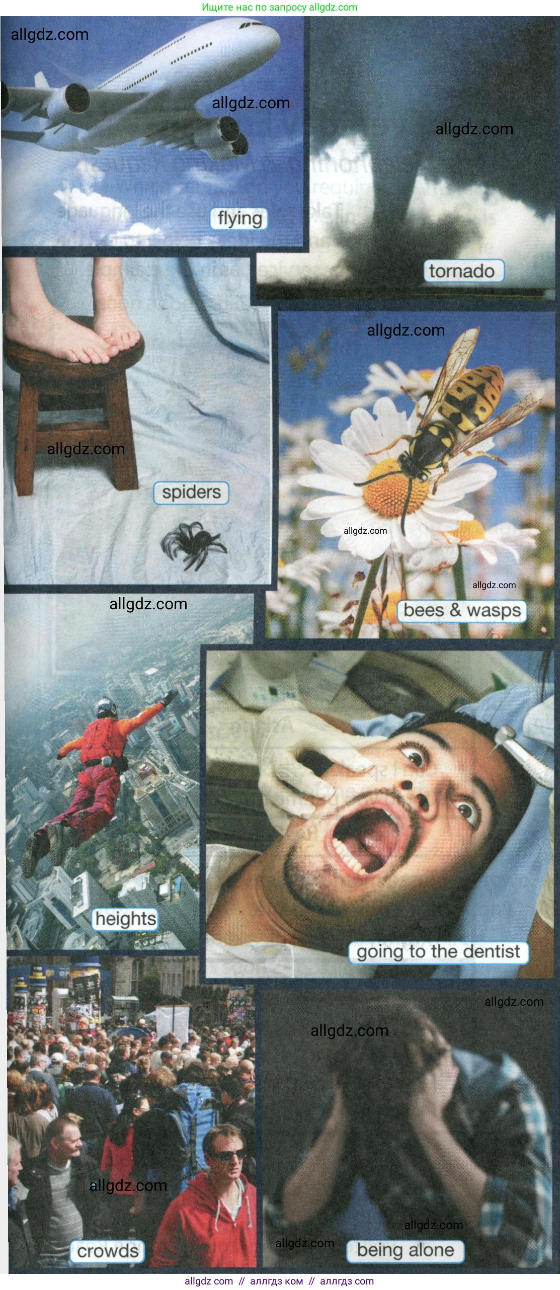 Английский язык (english), 9 класс Учебник (Student's book), авторы: Ваулина Юлия Евгеньевна (Vaulina Julia), Дули Дженни (Dooley Jenny), Подоляко Ольга Евгеньевна (Podolyako Olga), Эванс Вирджиния (Evans Virginia), издательство Просвещение, Москва, 2023, белого цвета, страница 106, номер 1, Условие 2023-2027 (продолжение 2)