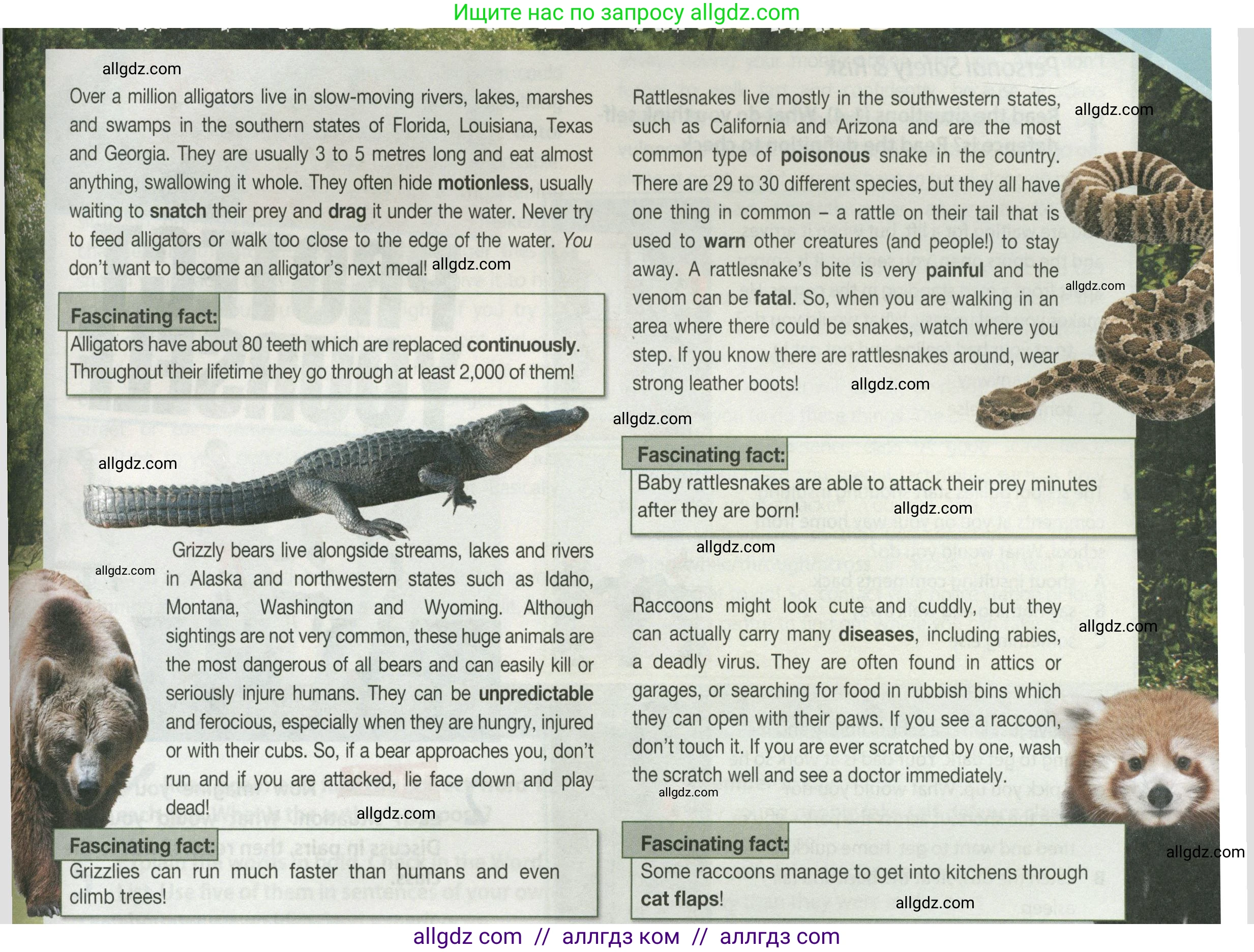 Английский язык (english), 9 класс Учебник (Student's book), авторы: Ваулина Юлия Евгеньевна (Vaulina Julia), Дули Дженни (Dooley Jenny), Подоляко Ольга Евгеньевна (Podolyako Olga), Эванс Вирджиния (Evans Virginia), издательство Просвещение, Москва, 2023, белого цвета, страница 117, номер 1, Условие 2023-2027