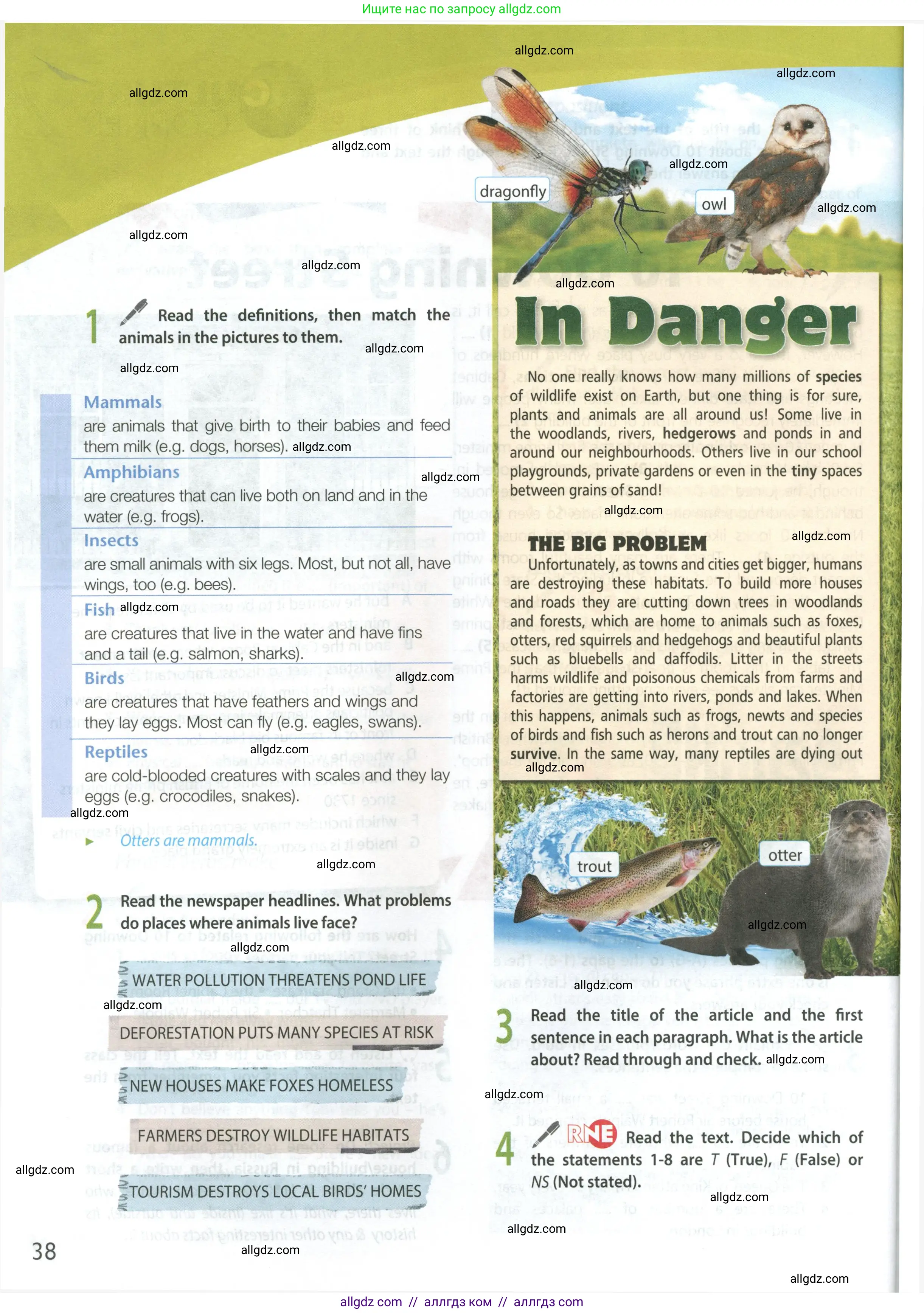 Английский язык (english), 9 класс Учебник (Student's book), авторы: Ваулина Юлия Евгеньевна (Vaulina Julia), Дули Дженни (Dooley Jenny), Подоляко Ольга Евгеньевна (Podolyako Olga), Эванс Вирджиния (Evans Virginia), издательство Просвещение, Москва, 2023, белого цвета, страница 38