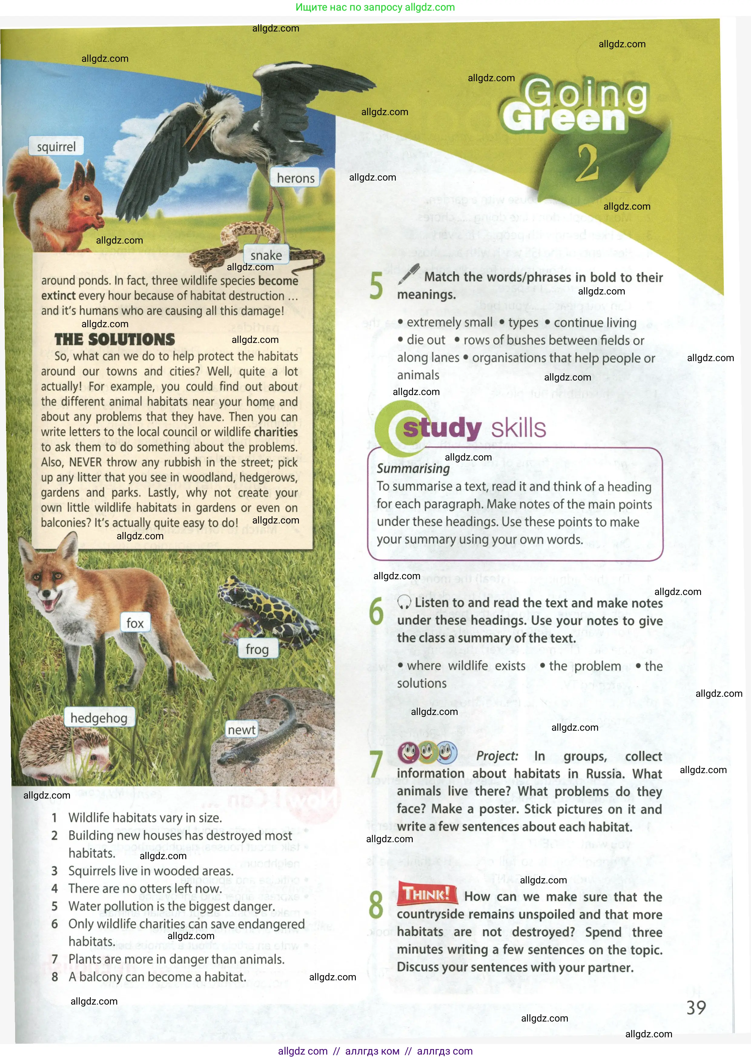 Английский язык (english), 9 класс Учебник (Student's book), авторы: Ваулина Юлия Евгеньевна (Vaulina Julia), Дули Дженни (Dooley Jenny), Подоляко Ольга Евгеньевна (Podolyako Olga), Эванс Вирджиния (Evans Virginia), издательство Просвещение, Москва, 2023, белого цвета, страница 39