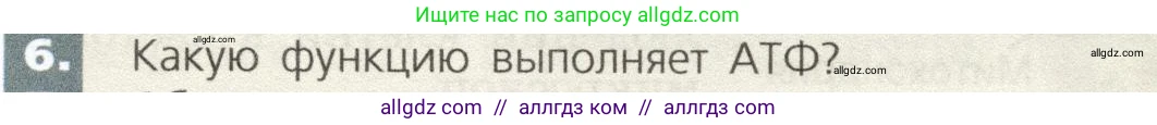 Биология, 9 класс Учебник, автор: Пасечник Владимир Васильевич, издательство Просвещение, Москва, 2019, страница 27, номер 6, Условие
