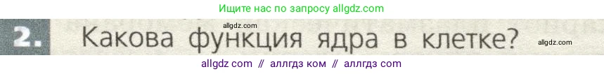 Биология, 9 класс Учебник, автор: Пасечник Владимир Васильевич, издательство Просвещение, Москва, 2019, страница 31, номер 2, Условие