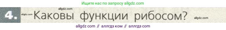 Биология, 9 класс Учебник, автор: Пасечник Владимир Васильевич, издательство Просвещение, Москва, 2019, страница 31, номер 4, Условие