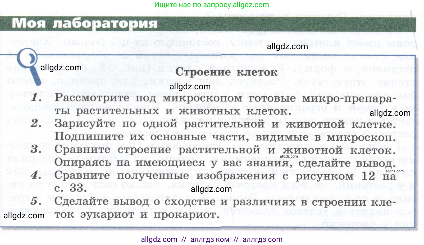 Биология, 9 класс Учебник, автор: Пасечник Владимир Васильевич, издательство Просвещение, Москва, 2019, страница 34, Условие