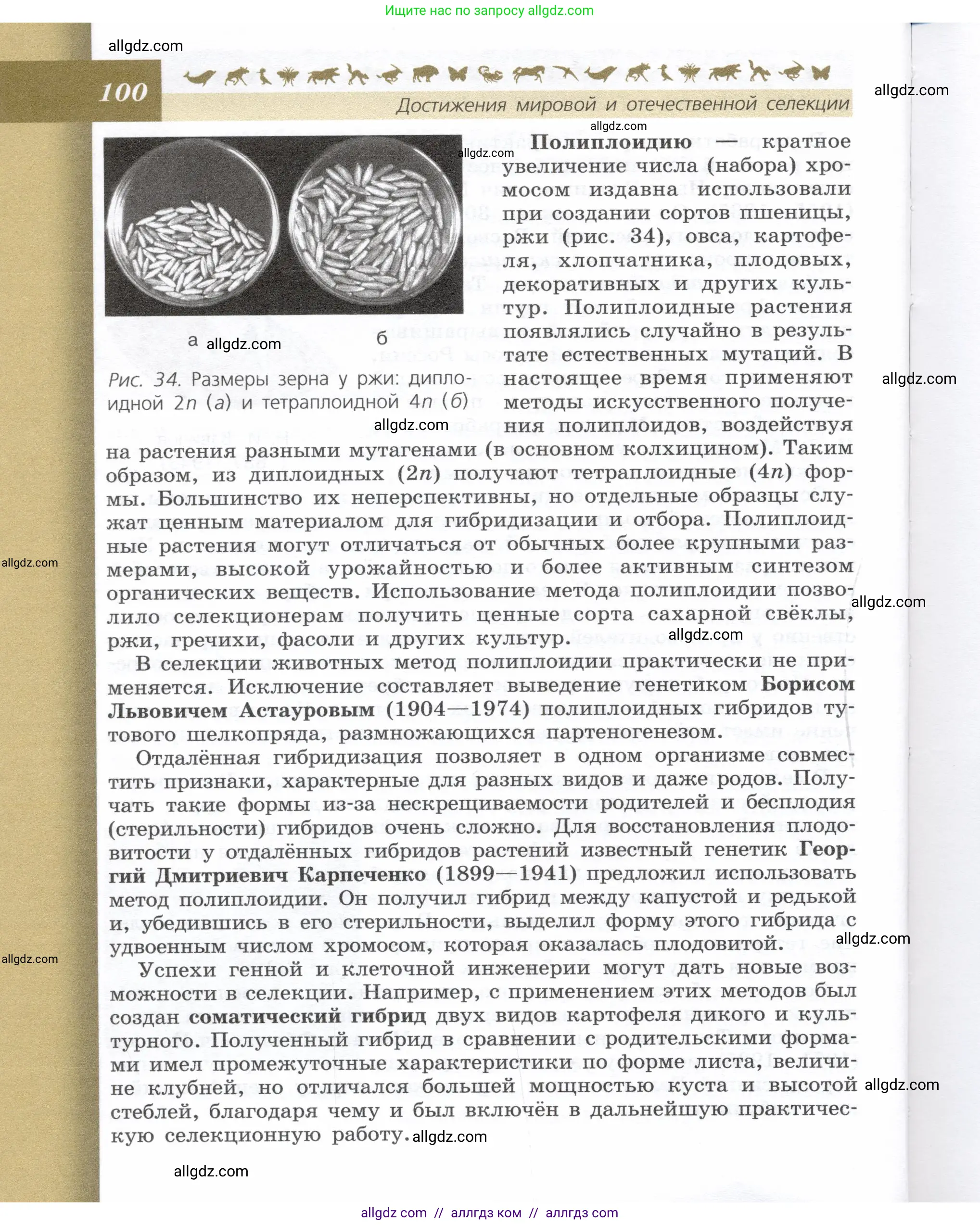 Биология, 9 класс Учебник, автор: Пасечник Владимир Васильевич, издательство Просвещение, Москва, 2019, страница 100
