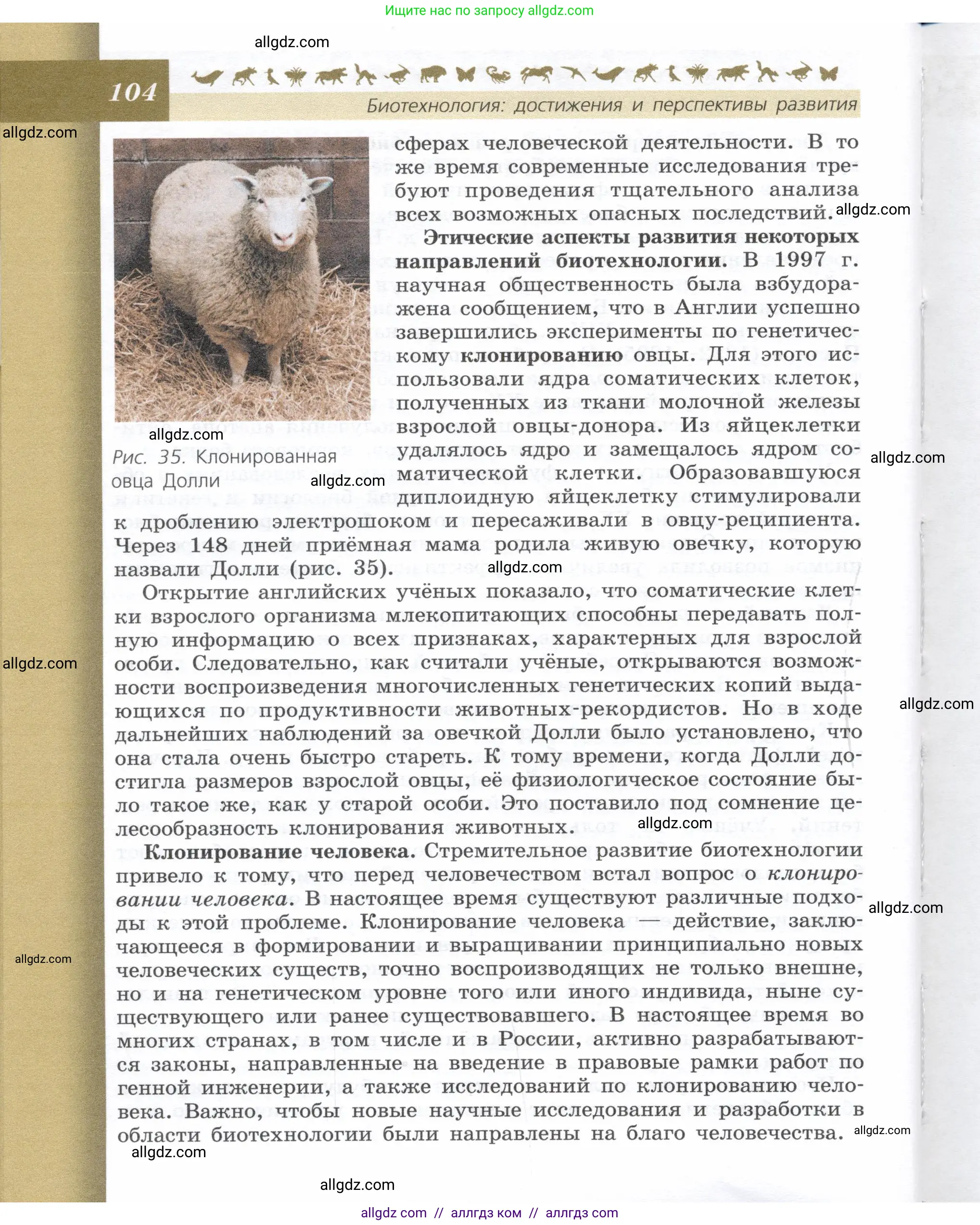 Биология, 9 класс Учебник, автор: Пасечник Владимир Васильевич, издательство Просвещение, Москва, 2019, страница 104