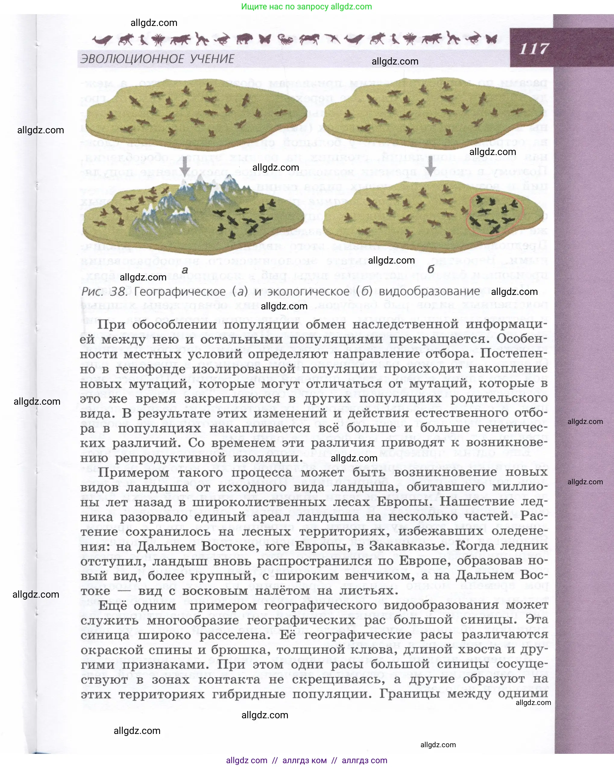 Биология, 9 класс Учебник, автор: Пасечник Владимир Васильевич, издательство Просвещение, Москва, 2019, страница 117