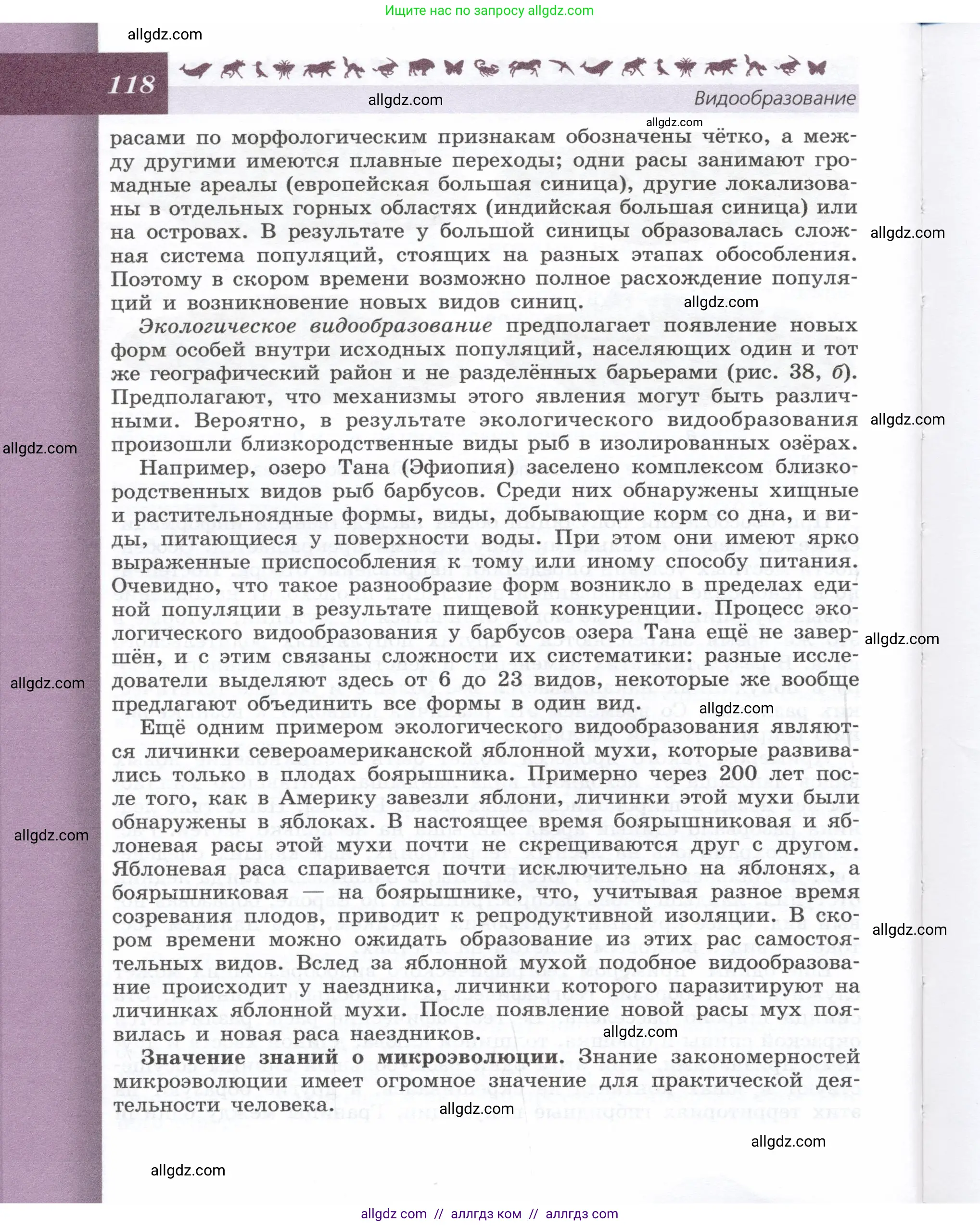 Биология, 9 класс Учебник, автор: Пасечник Владимир Васильевич, издательство Просвещение, Москва, 2019, страница 118