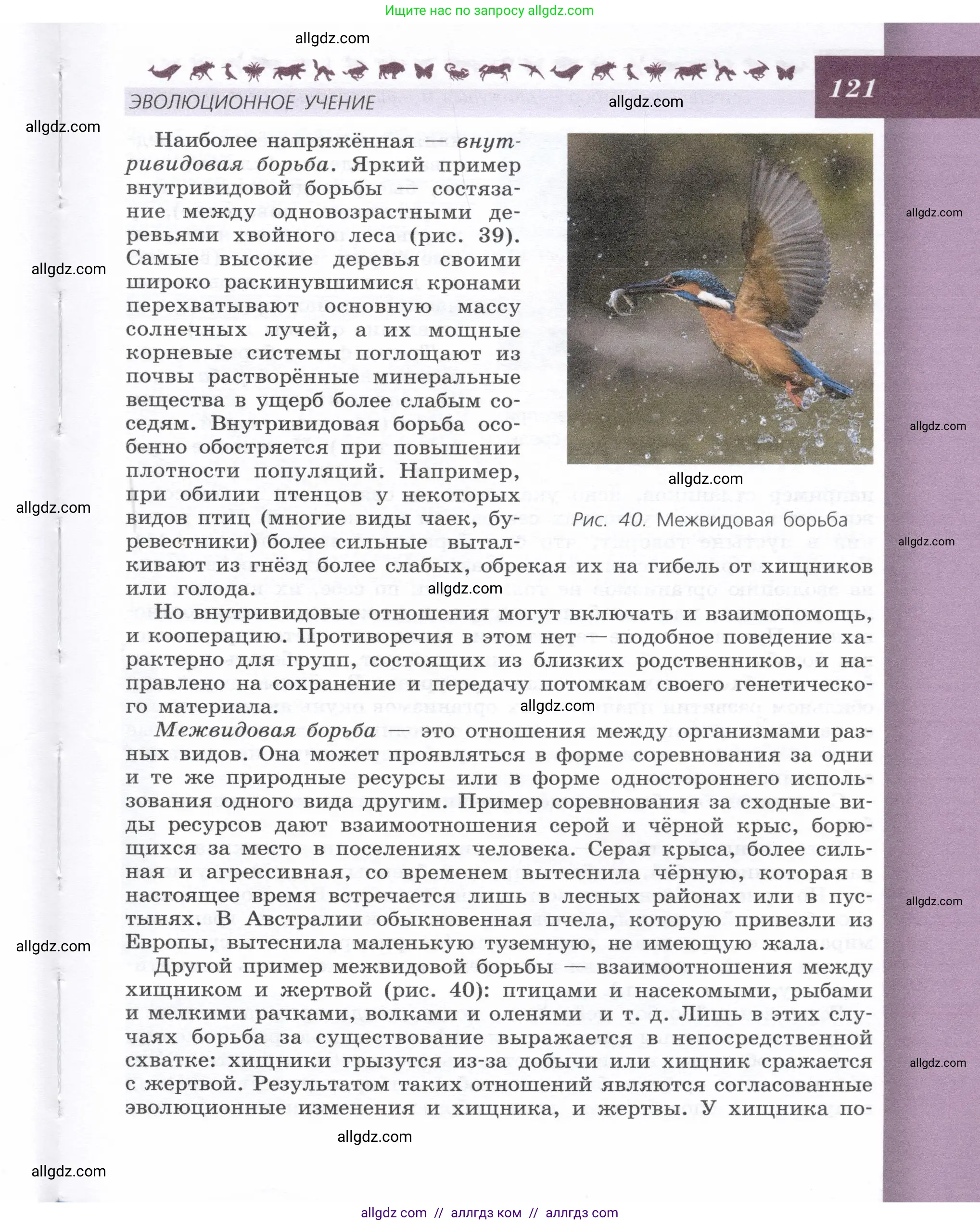 Биология, 9 класс Учебник, автор: Пасечник Владимир Васильевич, издательство Просвещение, Москва, 2019, страница 121