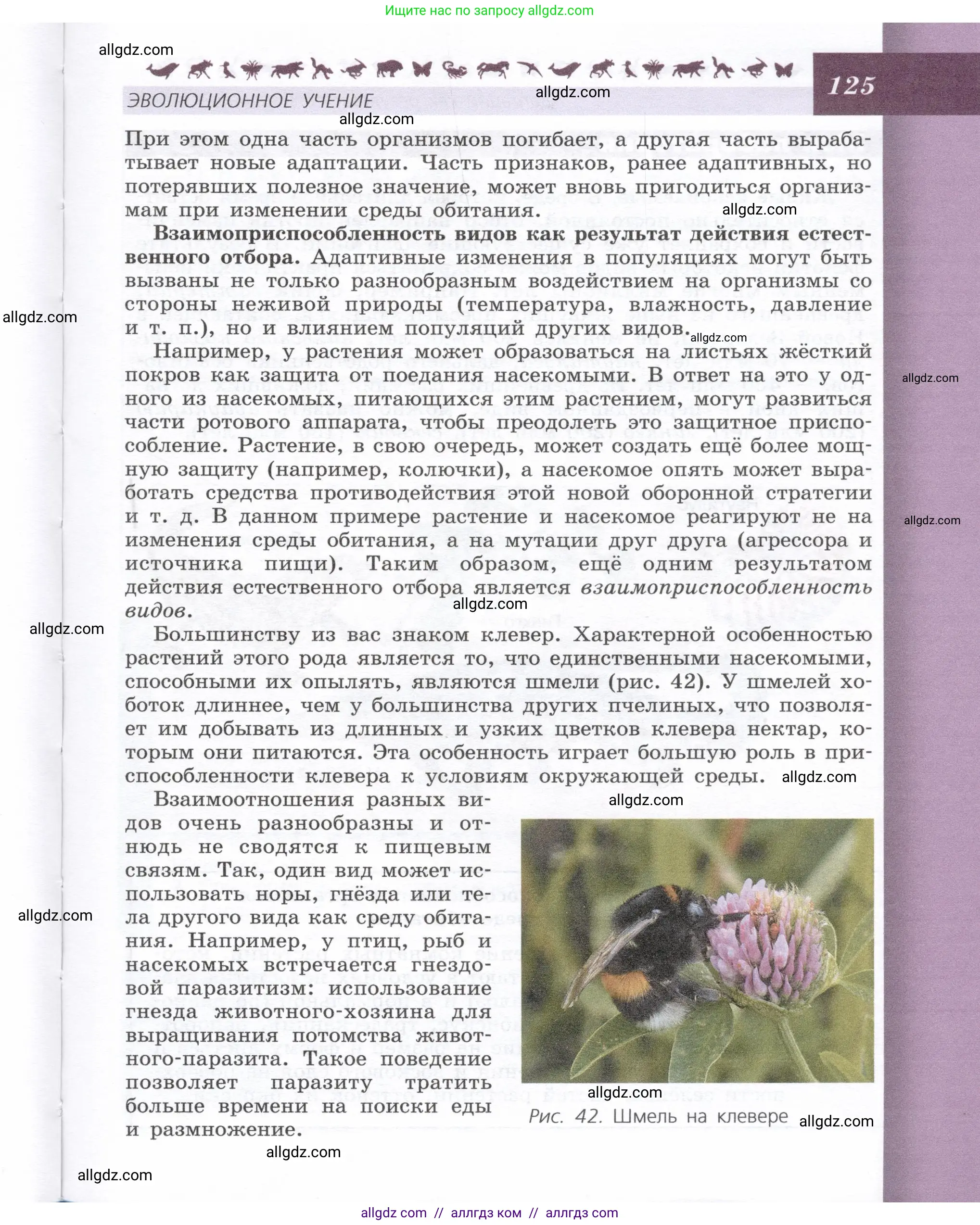 Биология, 9 класс Учебник, автор: Пасечник Владимир Васильевич, издательство Просвещение, Москва, 2019, страница 125
