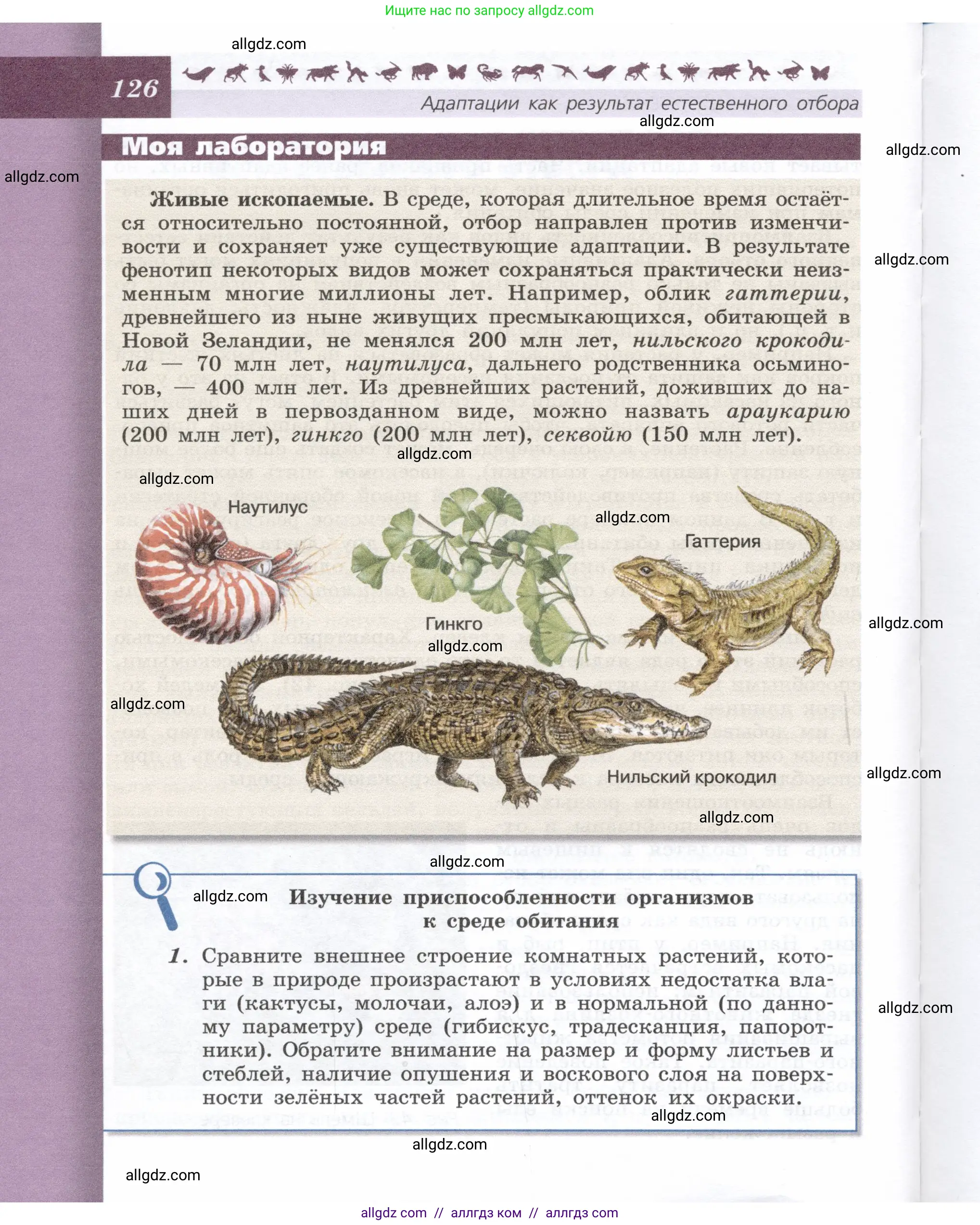 Биология, 9 класс Учебник, автор: Пасечник Владимир Васильевич, издательство Просвещение, Москва, 2019, страница 126