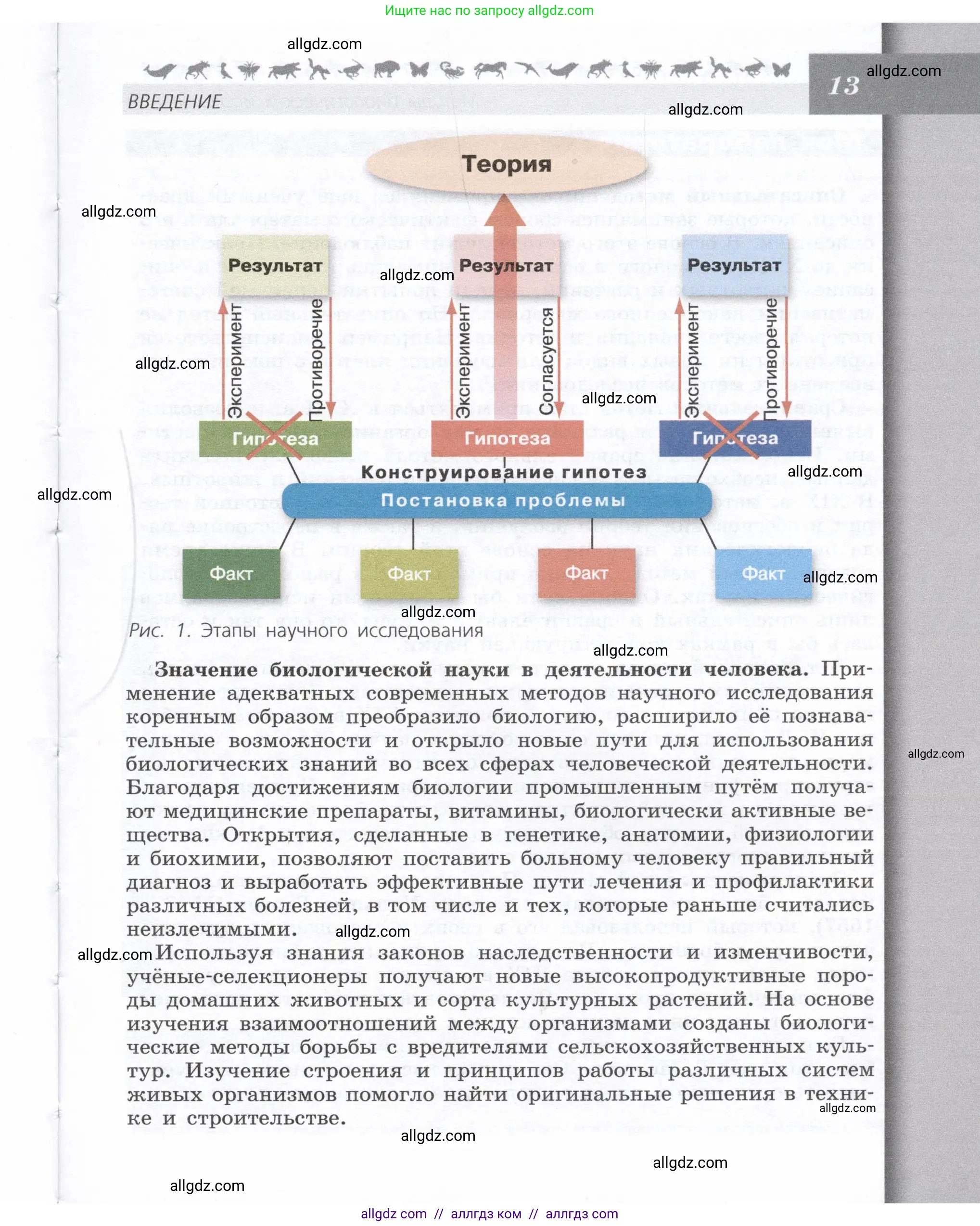 Биология, 9 класс Учебник, автор: Пасечник Владимир Васильевич, издательство Просвещение, Москва, 2019, страница 13