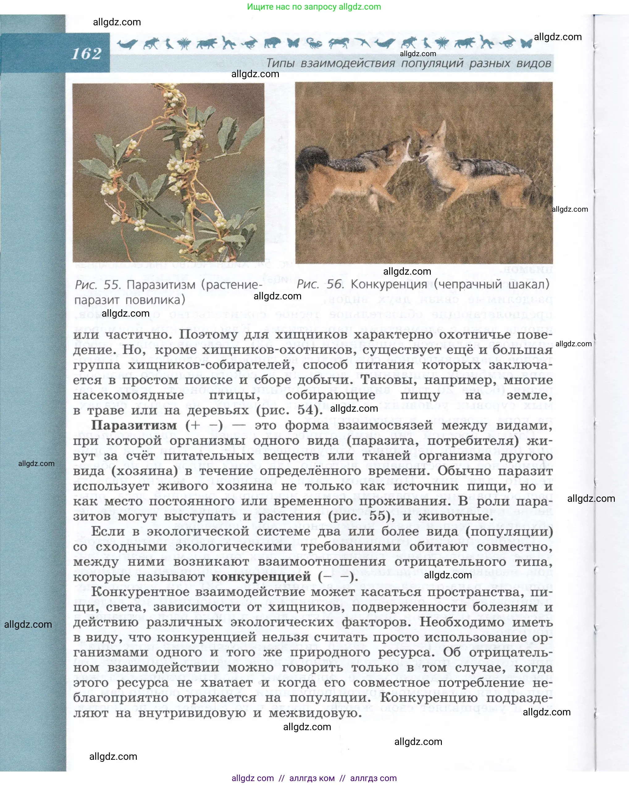 Биология, 9 класс Учебник, автор: Пасечник Владимир Васильевич, издательство Просвещение, Москва, 2019, страница 162