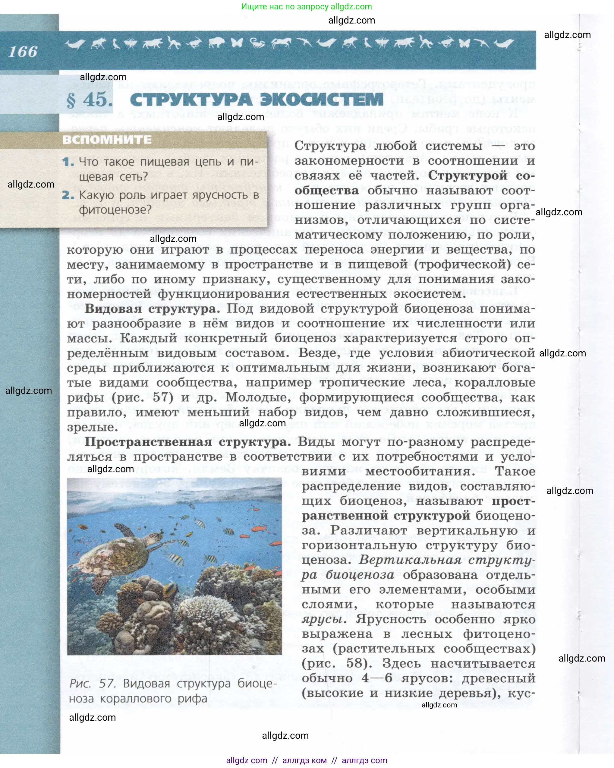 Биология, 9 класс Учебник, автор: Пасечник Владимир Васильевич, издательство Просвещение, Москва, 2019, страница 166