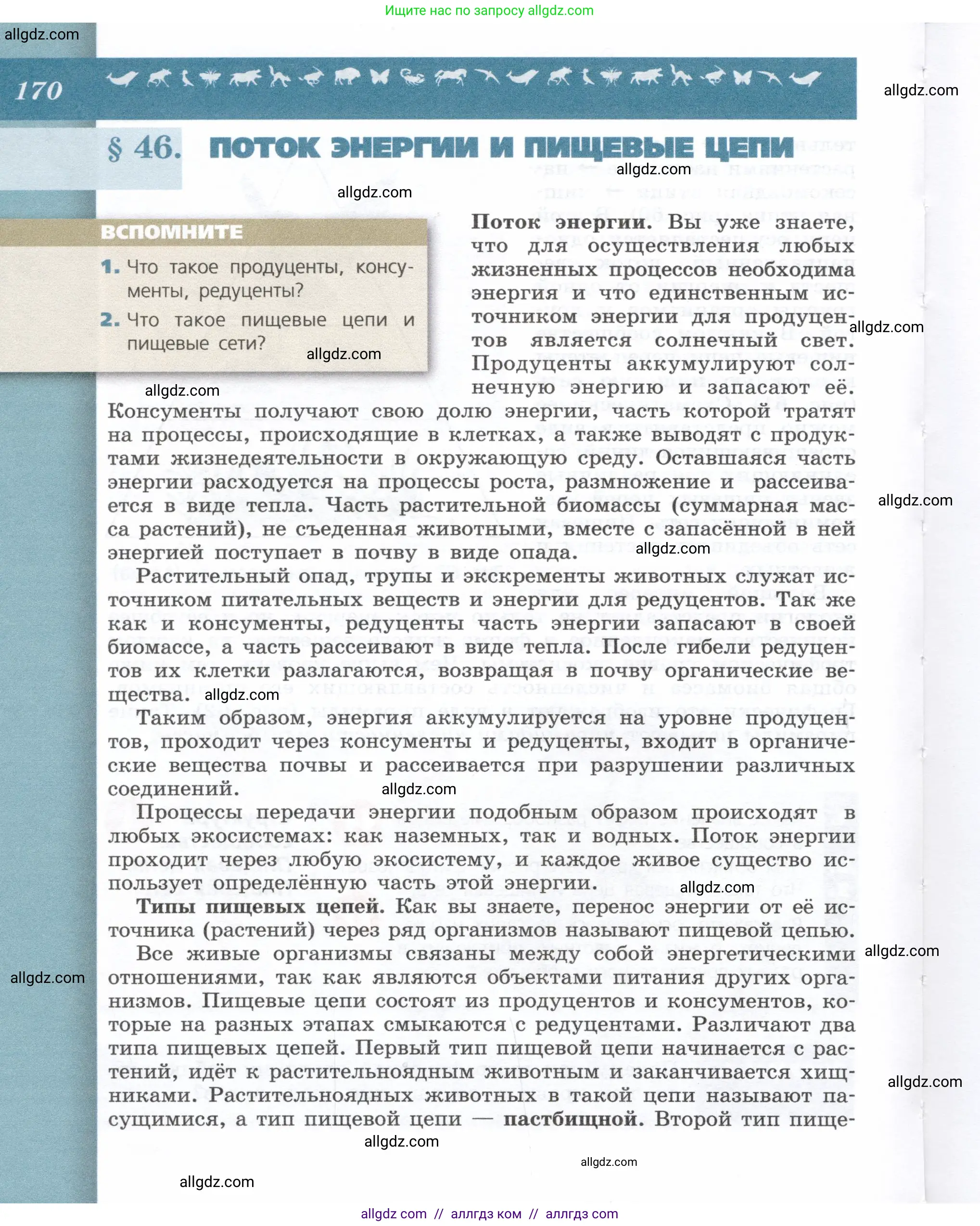 Биология, 9 класс Учебник, автор: Пасечник Владимир Васильевич, издательство Просвещение, Москва, 2019, страница 170