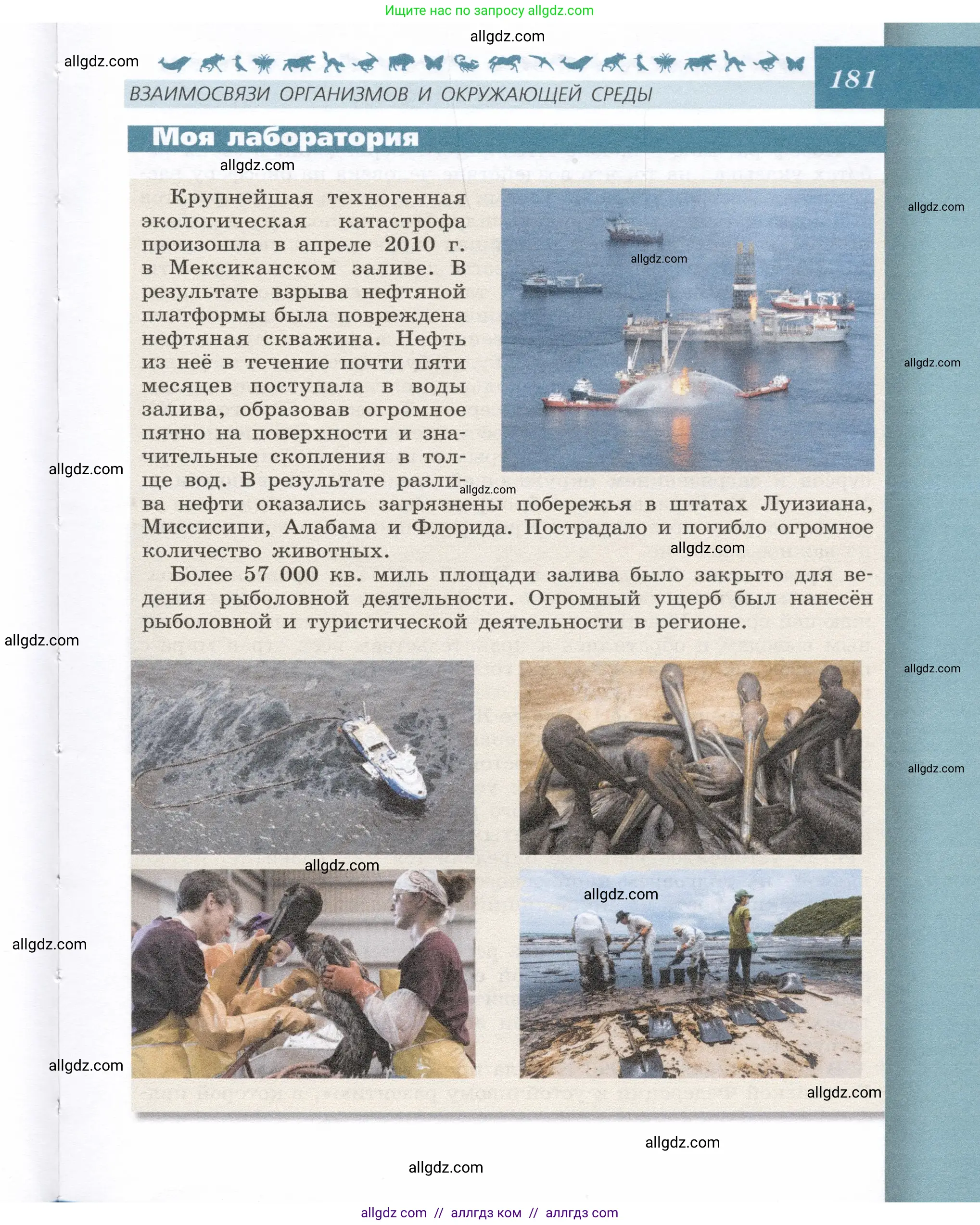 Биология, 9 класс Учебник, автор: Пасечник Владимир Васильевич, издательство Просвещение, Москва, 2019, страница 181