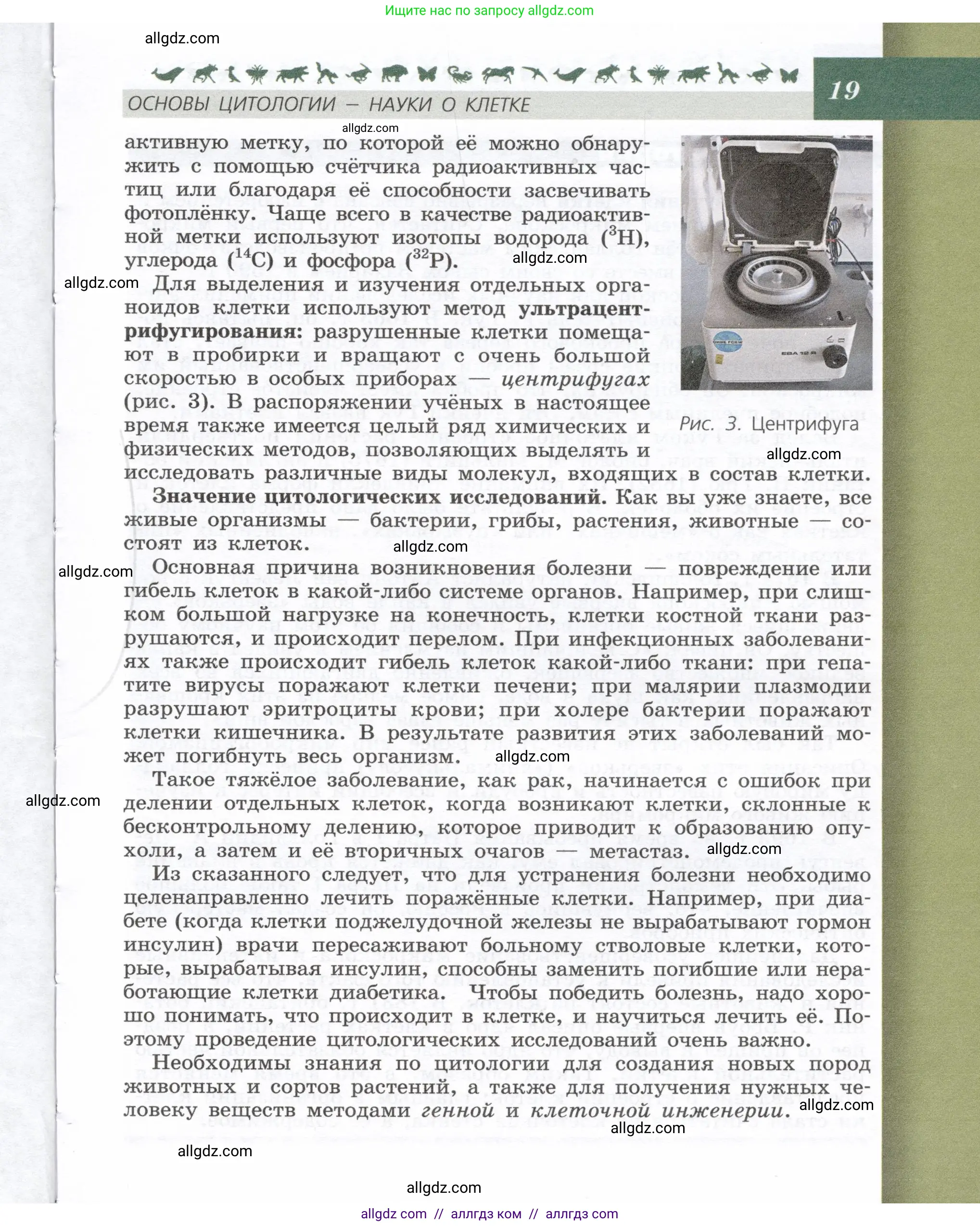 Биология, 9 класс Учебник, автор: Пасечник Владимир Васильевич, издательство Просвещение, Москва, 2019, страница 19