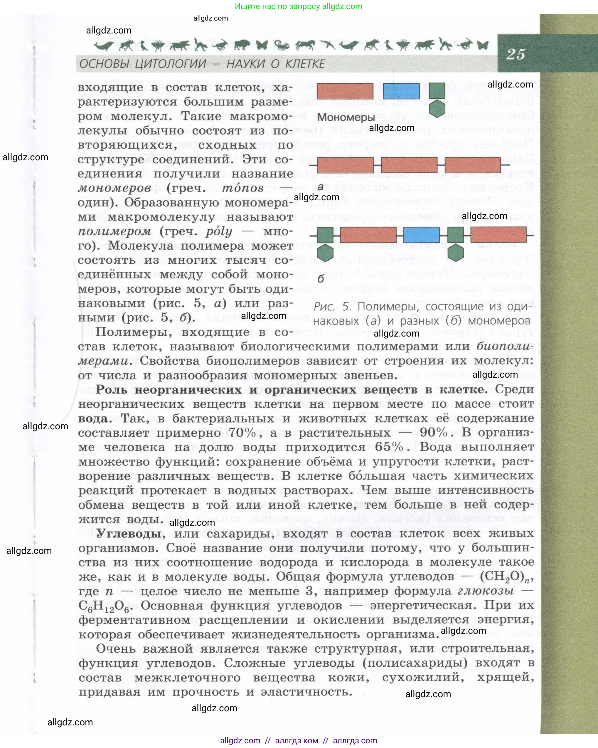 Биология, 9 класс Учебник, автор: Пасечник Владимир Васильевич, издательство Просвещение, Москва, 2019, страница 25