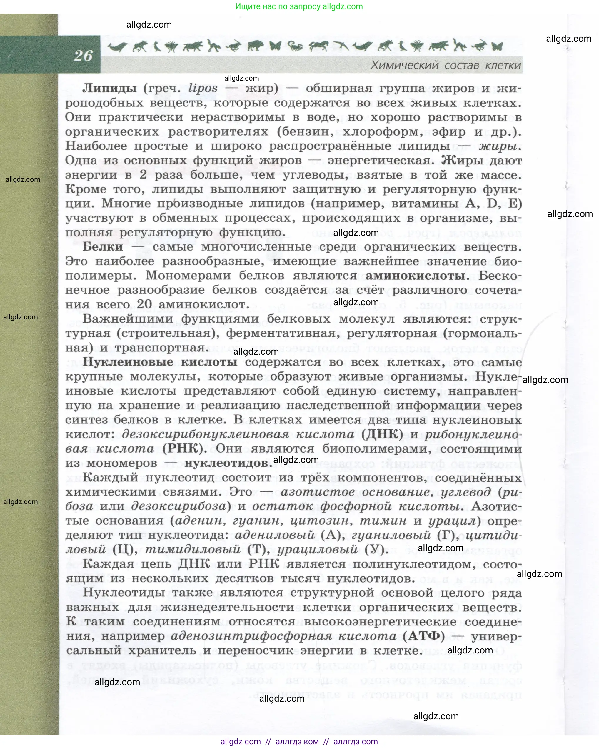 Биология, 9 класс Учебник, автор: Пасечник Владимир Васильевич, издательство Просвещение, Москва, 2019, страница 26