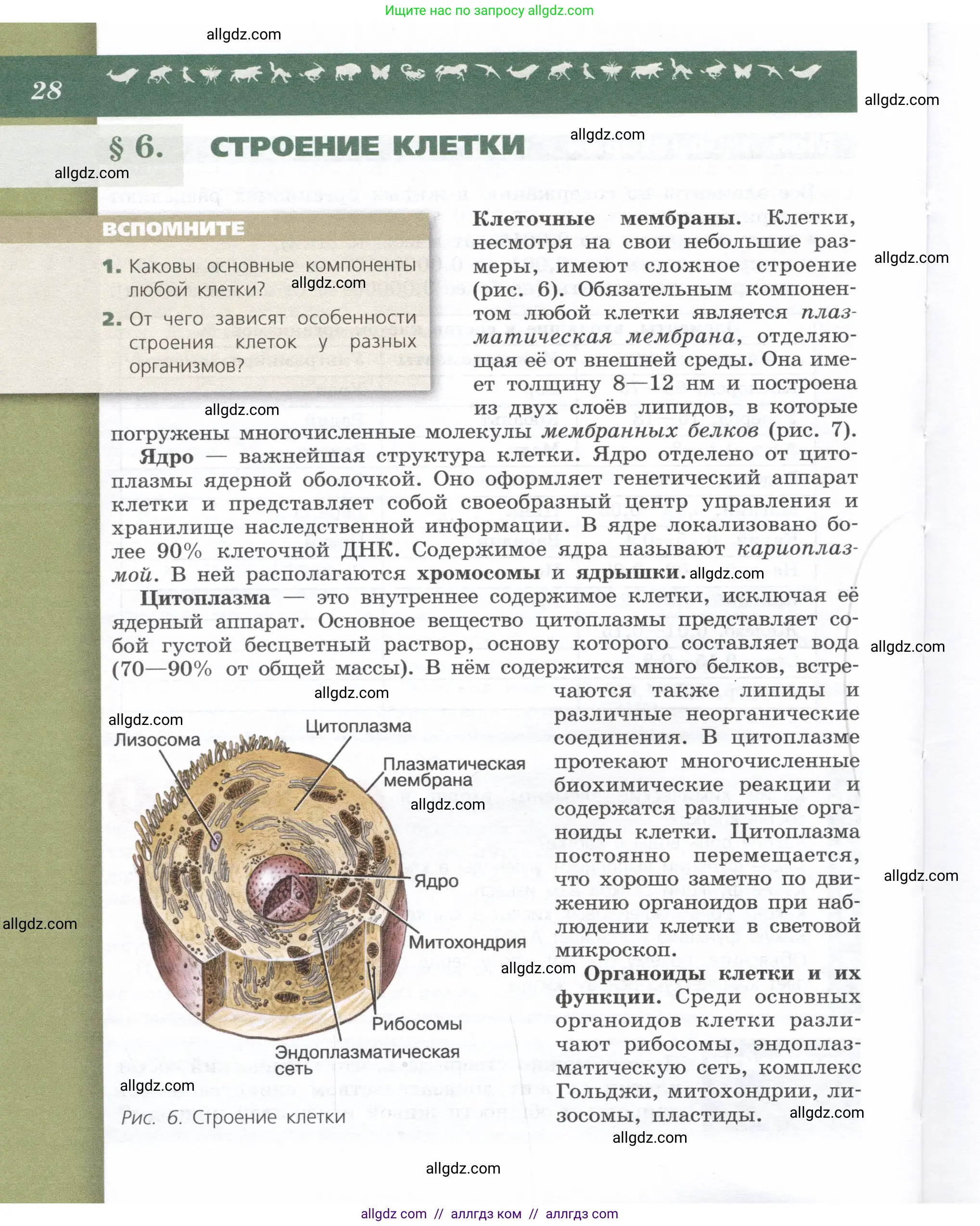 Биология, 9 класс Учебник, автор: Пасечник Владимир Васильевич, издательство Просвещение, Москва, 2019, страница 28
